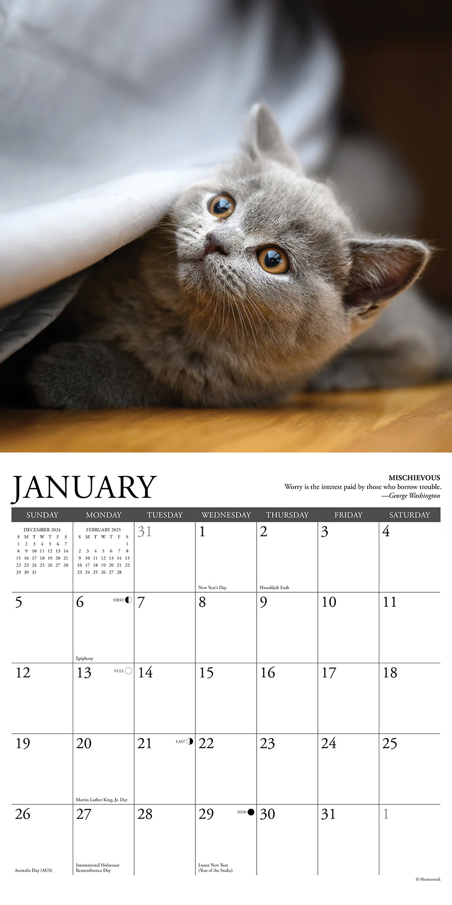 2025 Cat Rules - Square Wall Calendar (US Only)