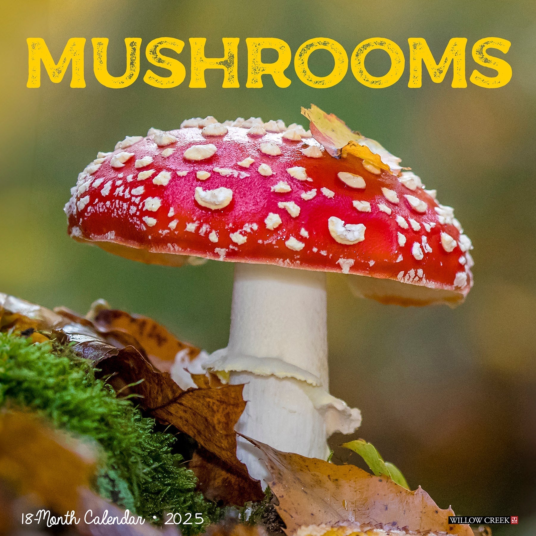 2025 Mushrooms - Square Wall Calendar (US Only)