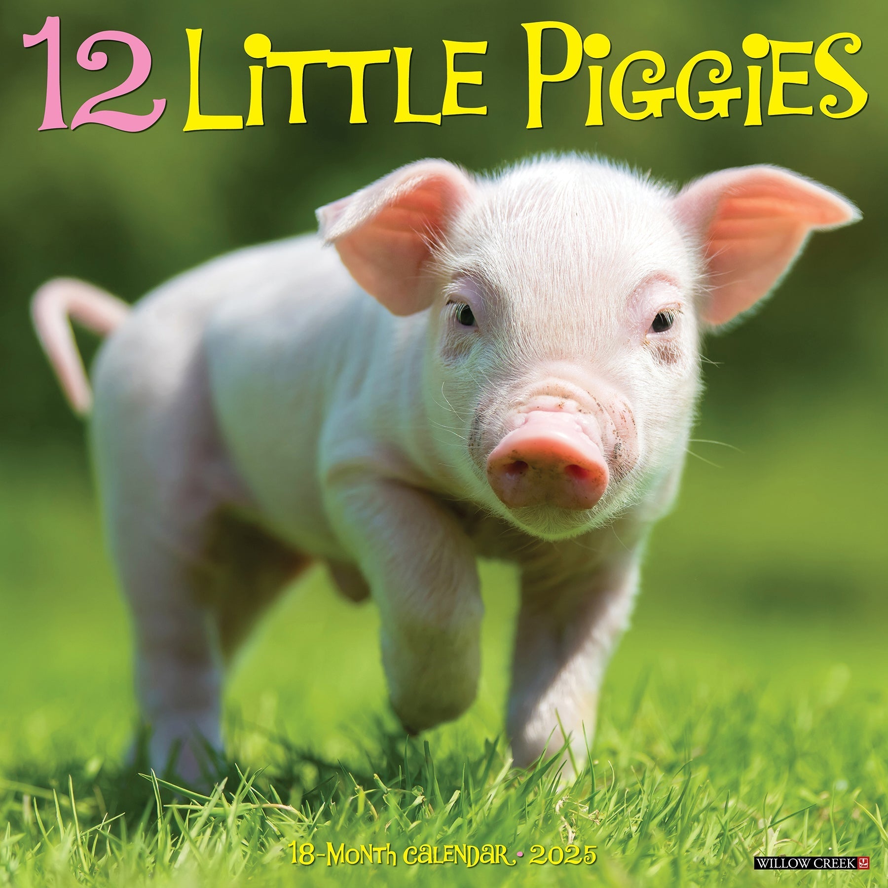 2025 12 Little Piggies - Square Wall Calendar (US Only)