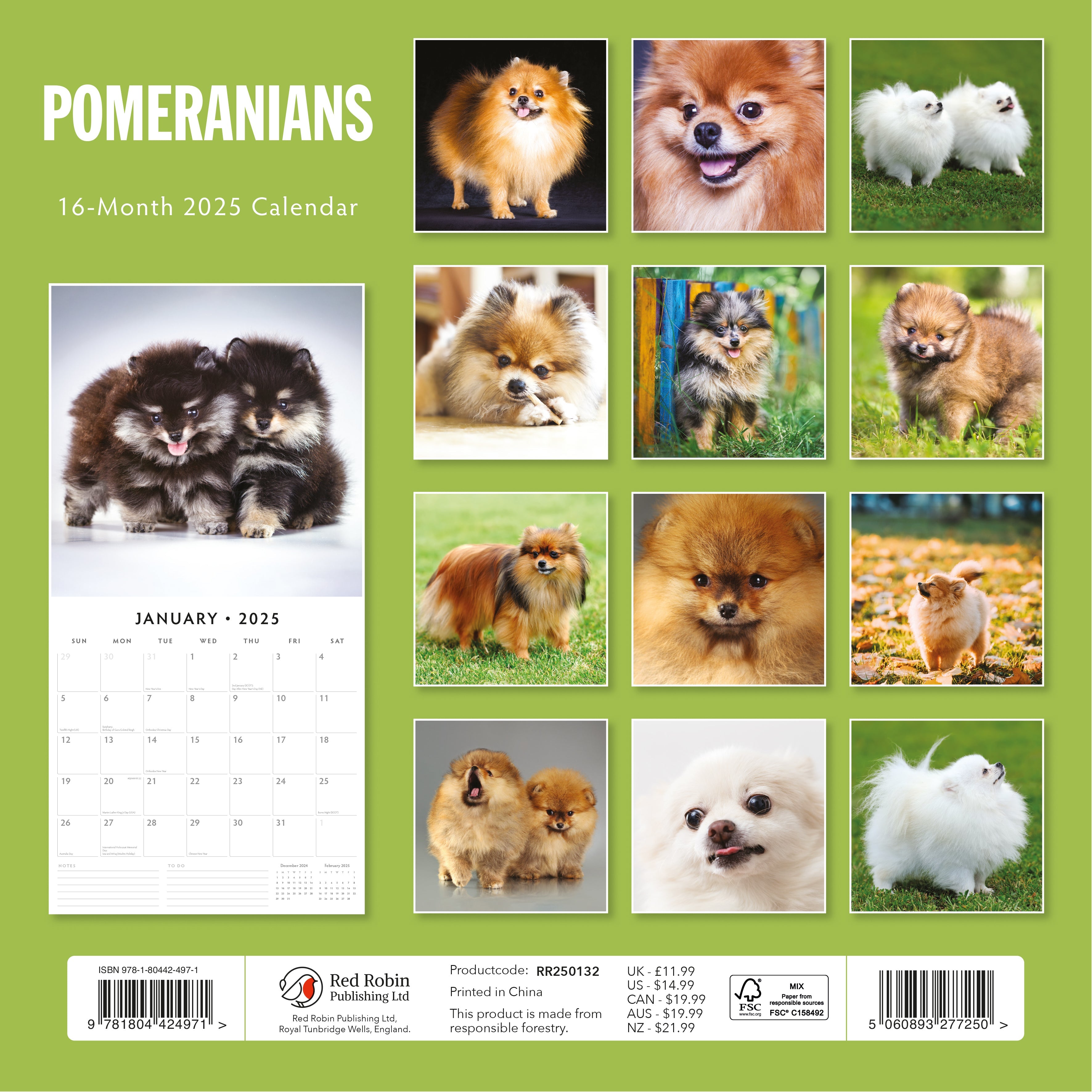2025 Pomeranians - Square Wall Calendar