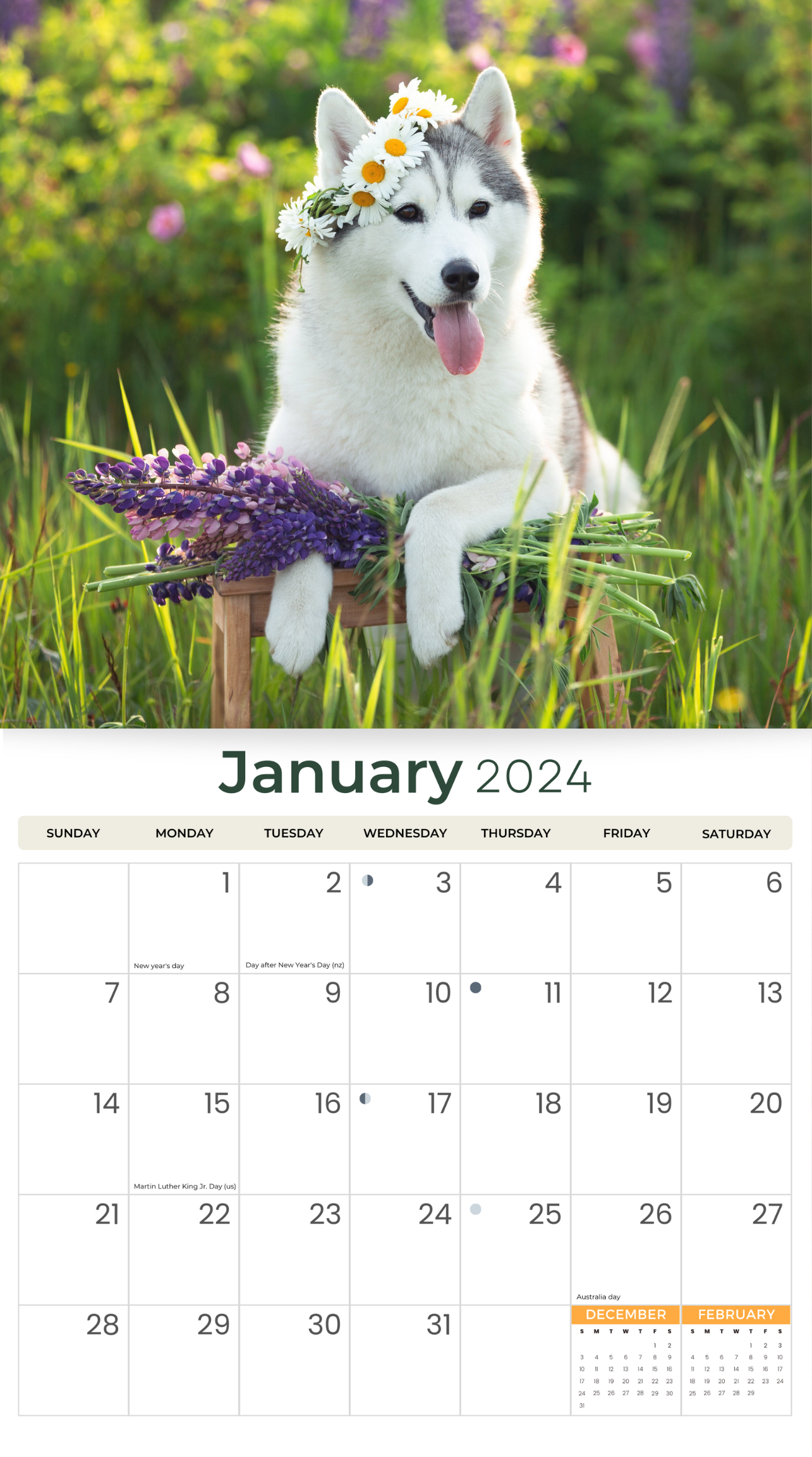 2024 Siberian Huskies - Deluxe Wall Calendar