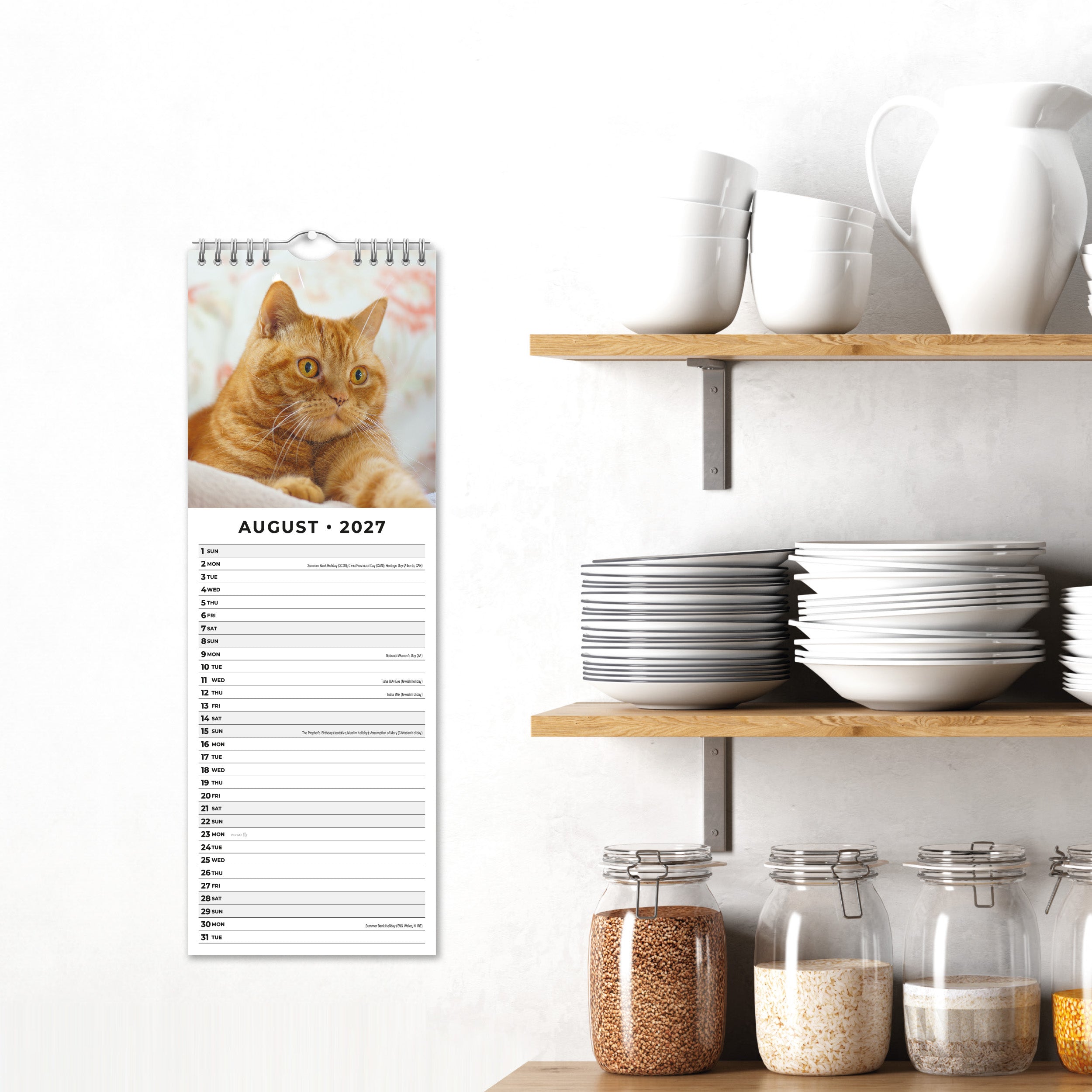 2027 British Shorthair Cats - Slim Wall Calendar
