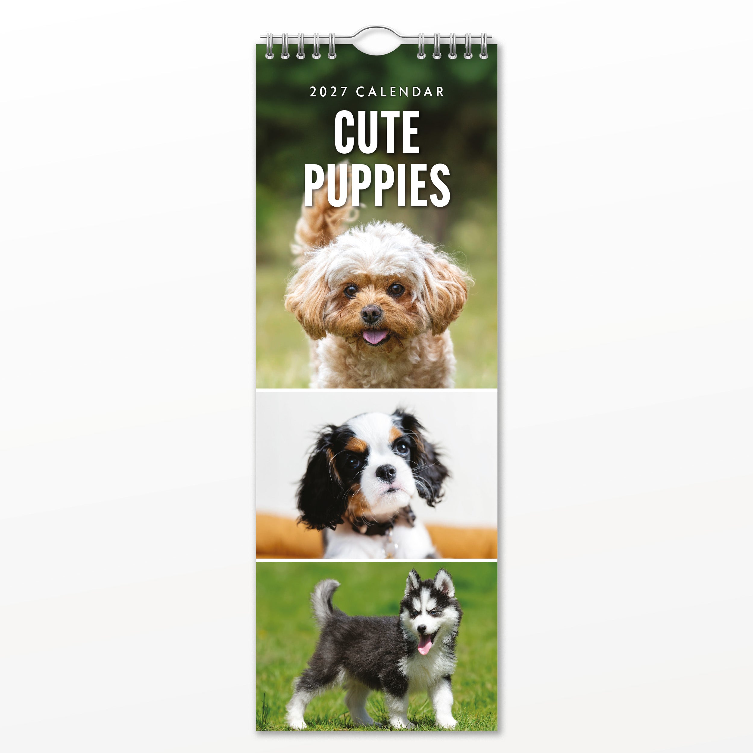 2027 Cute Puppies - Slim Wall Calendar