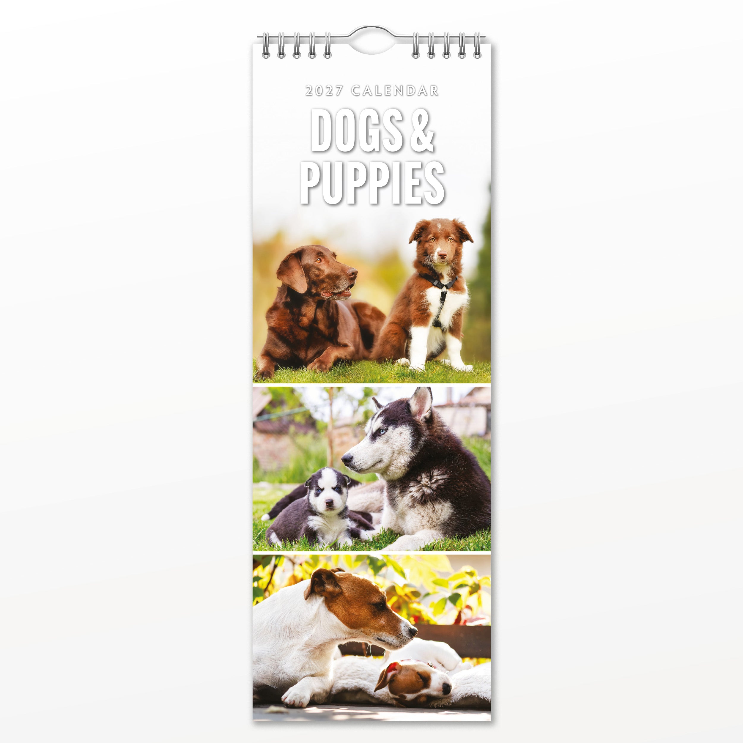 2027 Dogs & Puppies - Slim Wall Calendar