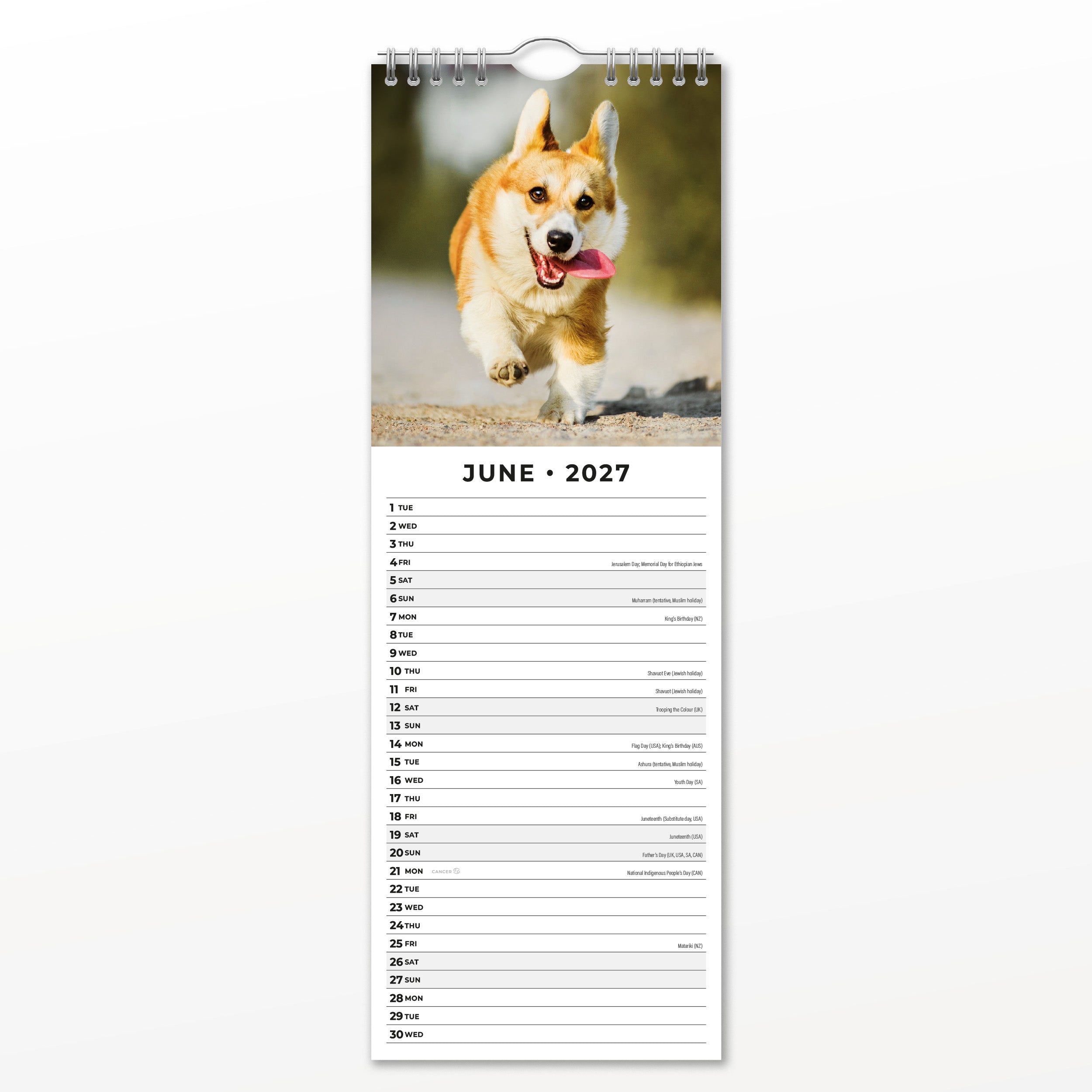 2027 Dogs & Puppies - Slim Wall Calendar