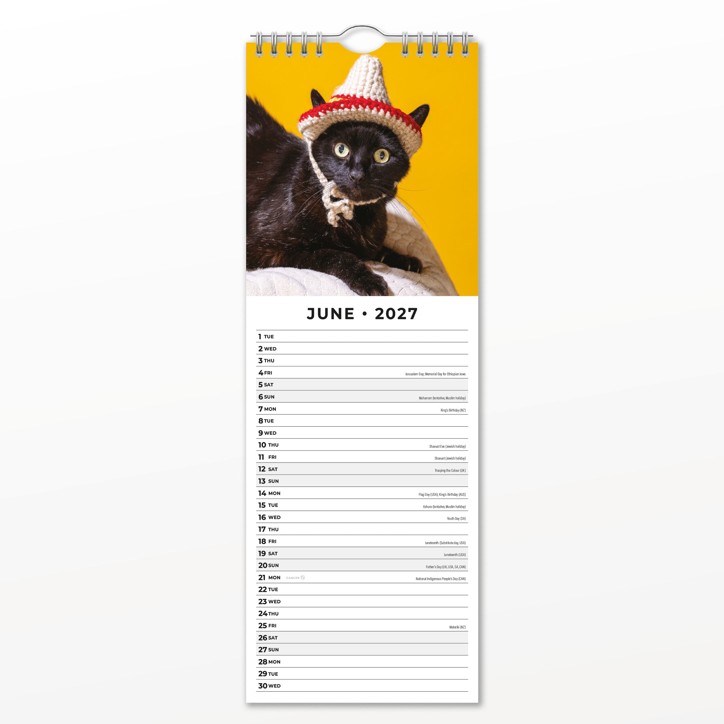 2027 Funny Cats - Slim Wall Calendar