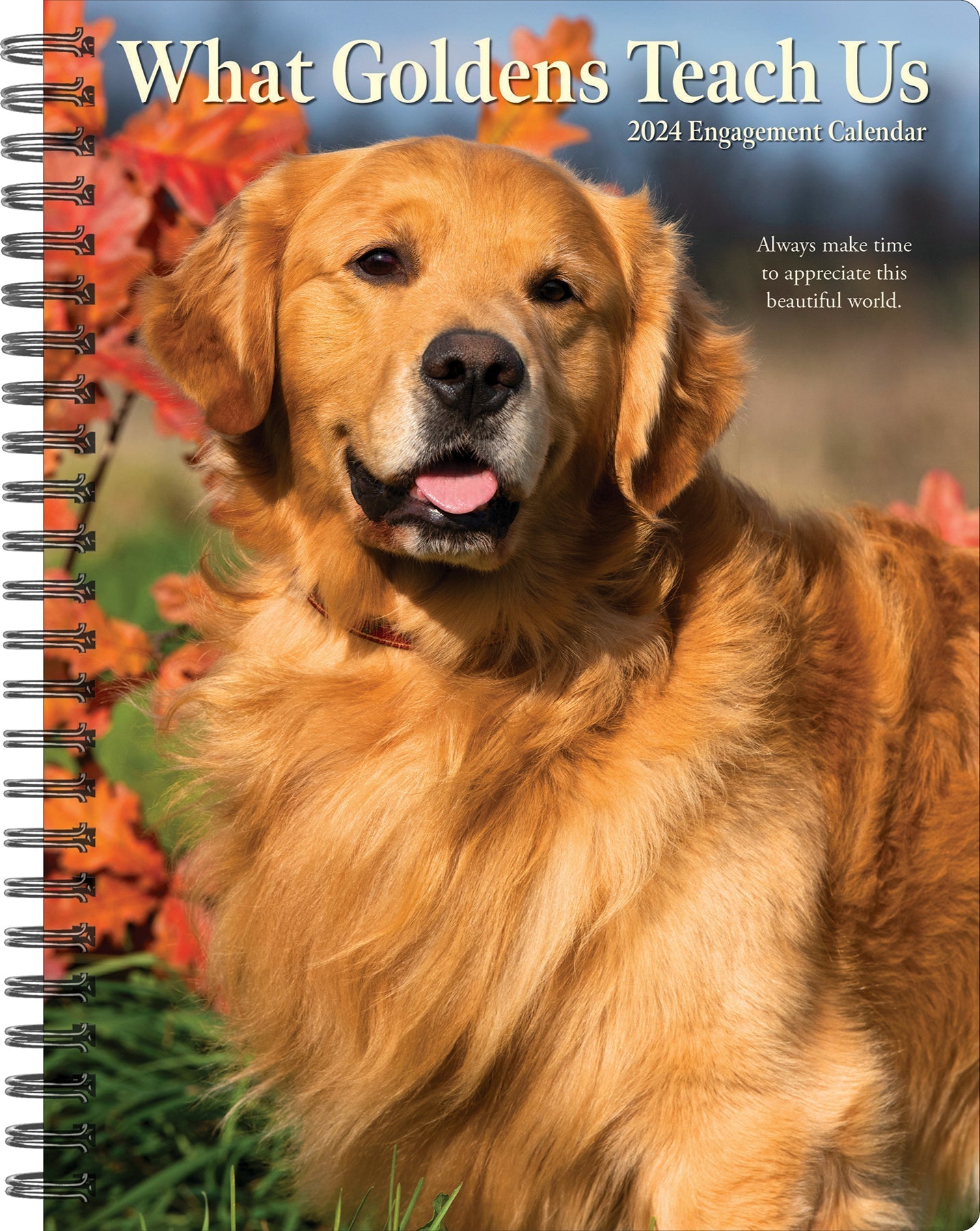 2024 What Goldens Teach Us - Weekly Diary/Planner US