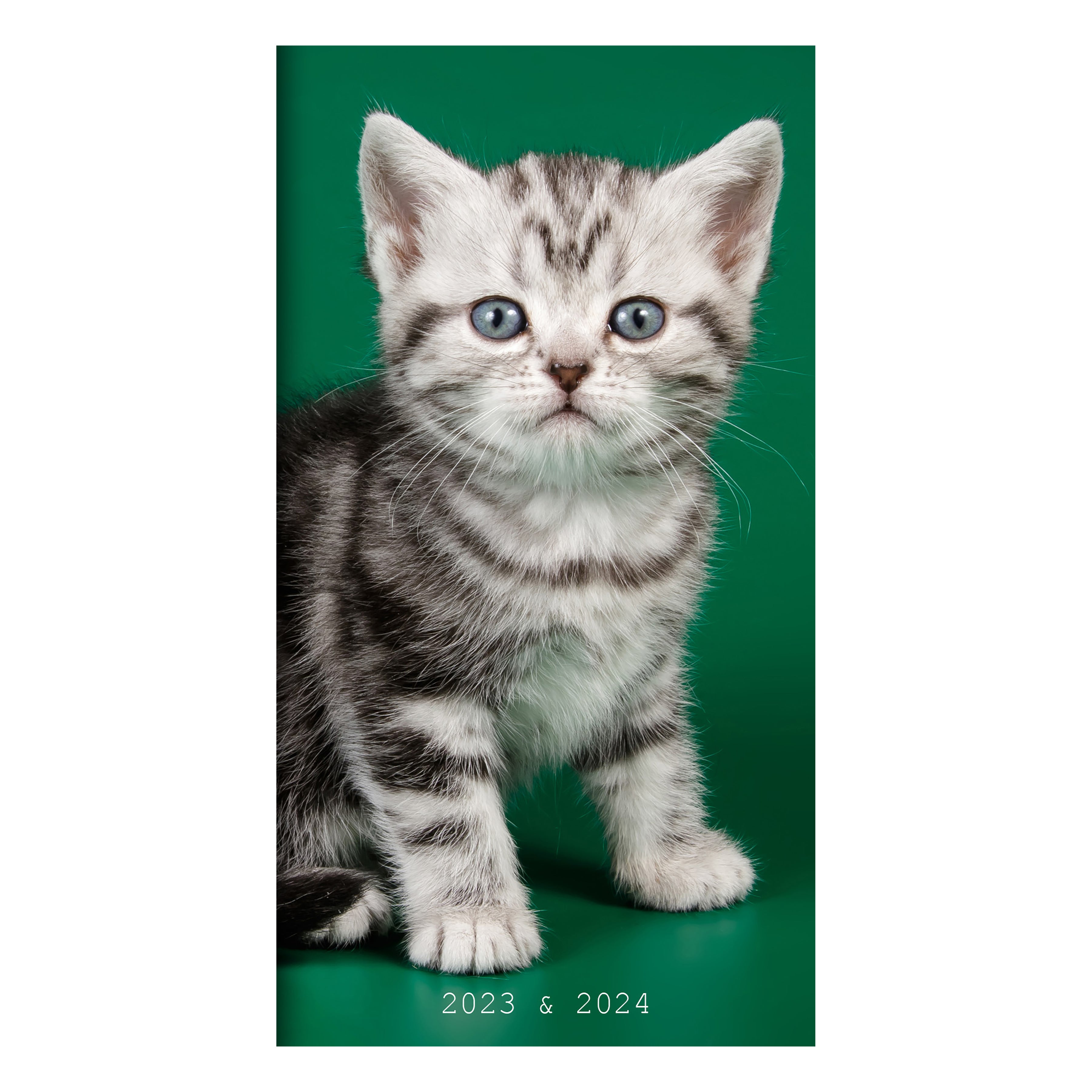 2023-2024 Kittens - 2-Year Monthly Pocket Diary/Planner