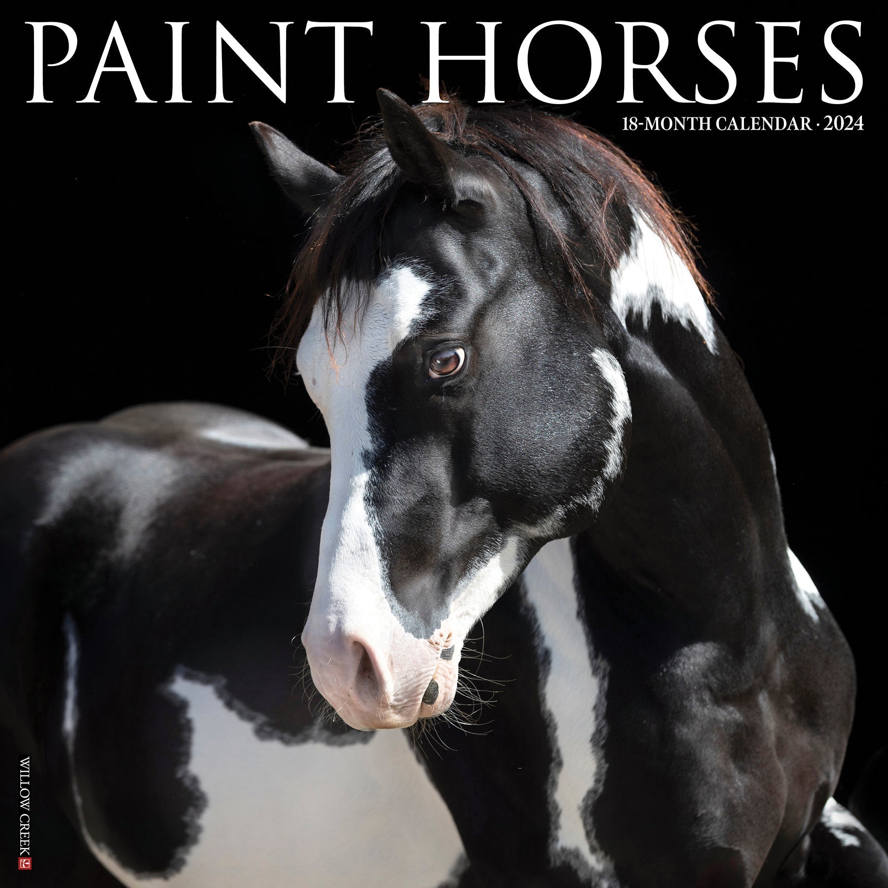2024 Paint Horses - Square Wall Calendar US