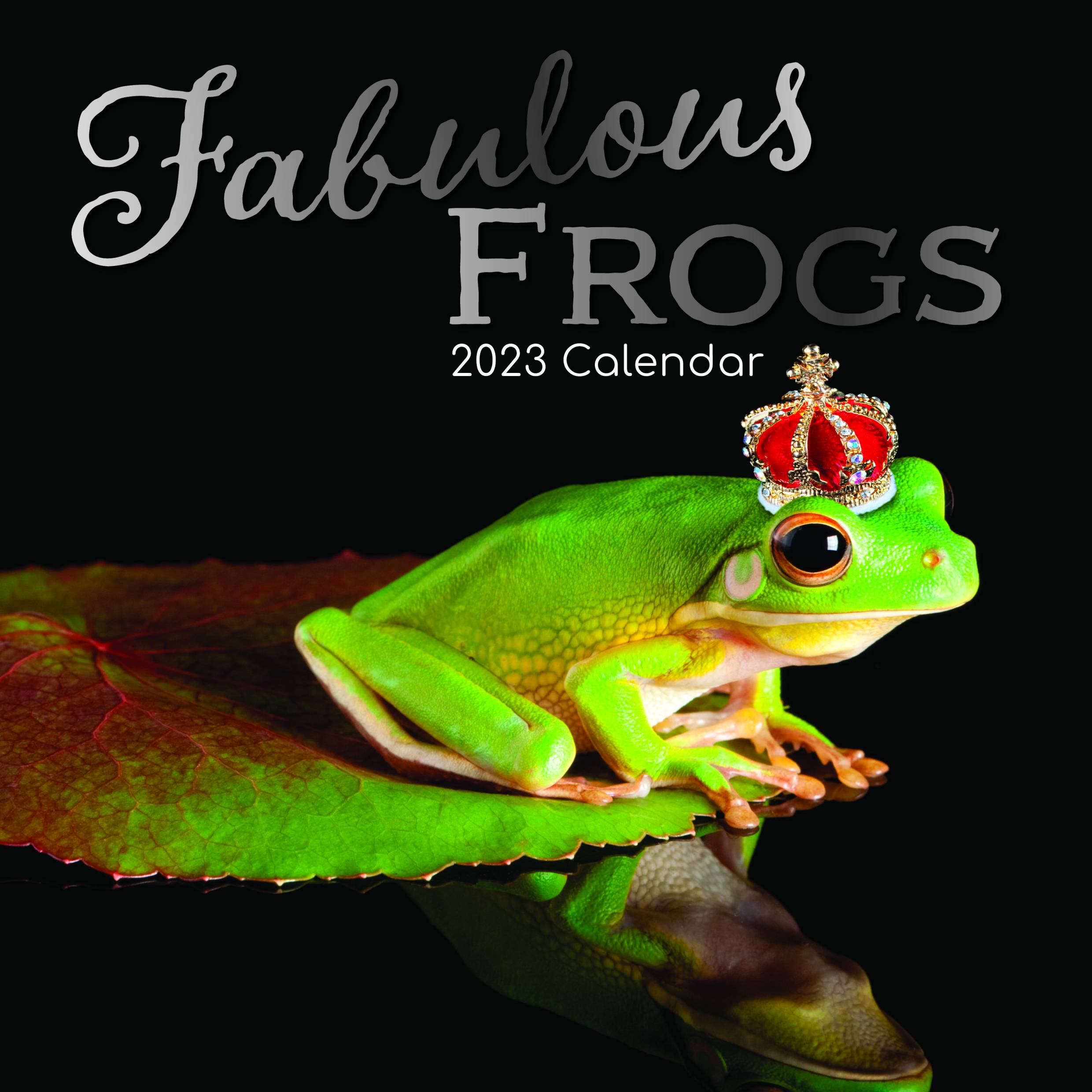 2023 Fabulous Frogs - Square Wall Calendar