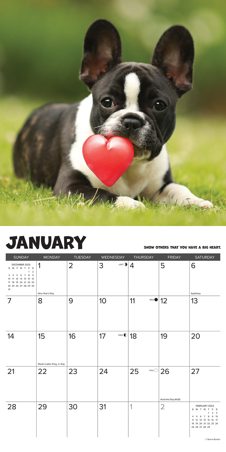 2024 What Puppies Teach Us - Square Wall Calendar US