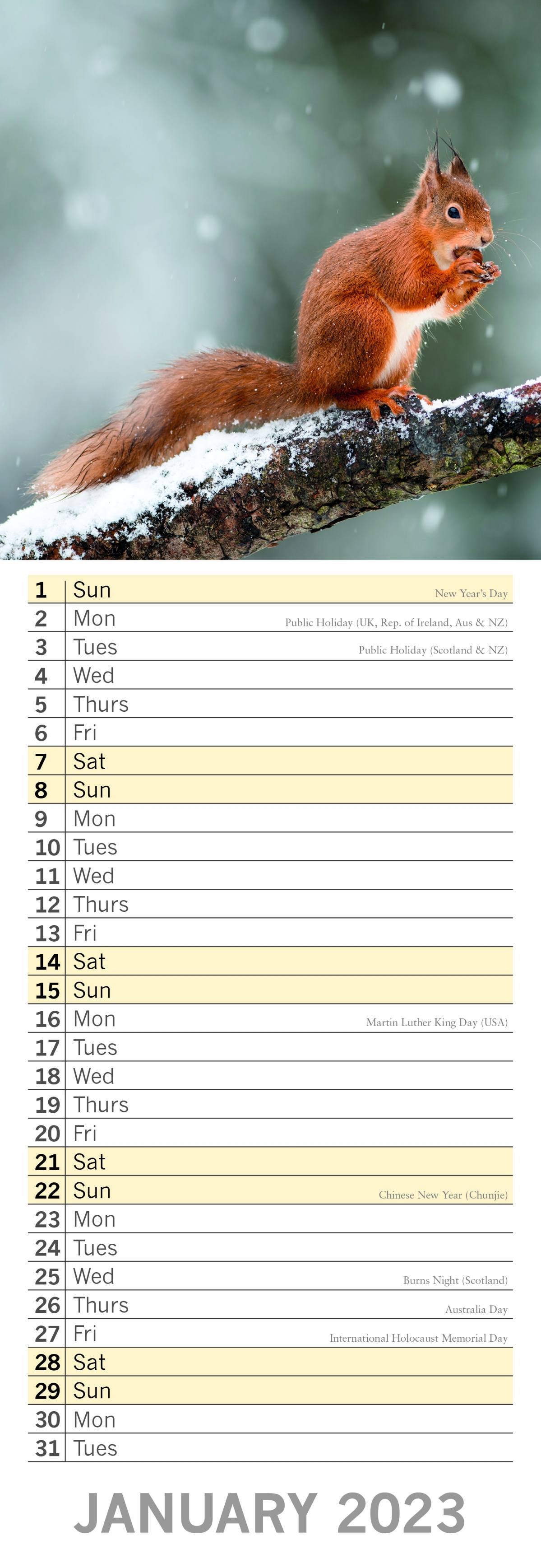 2023 A Year of Changing Seasons - Slim Wall Calendar