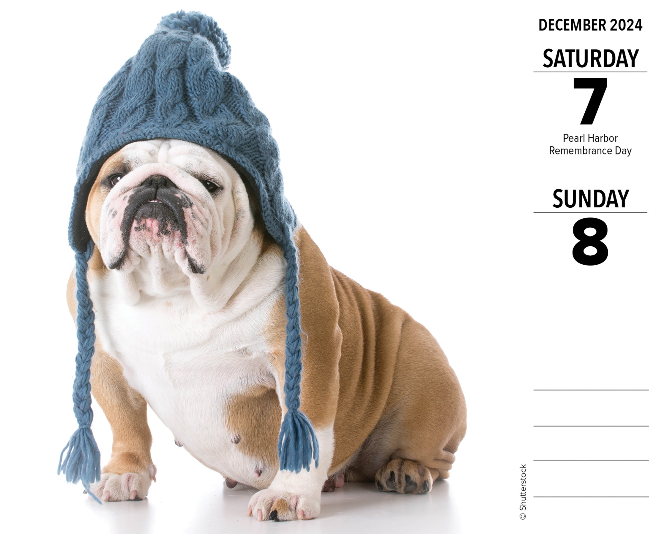 2024 Bulldogs - Daily Boxed Page-A-Day Calendar US