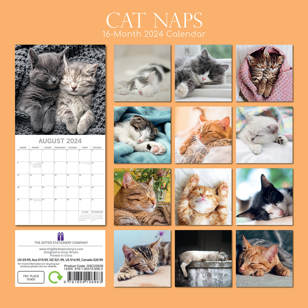 2024 Cat Naps Square Wall Calendar Cats & Kittens Calendars by The