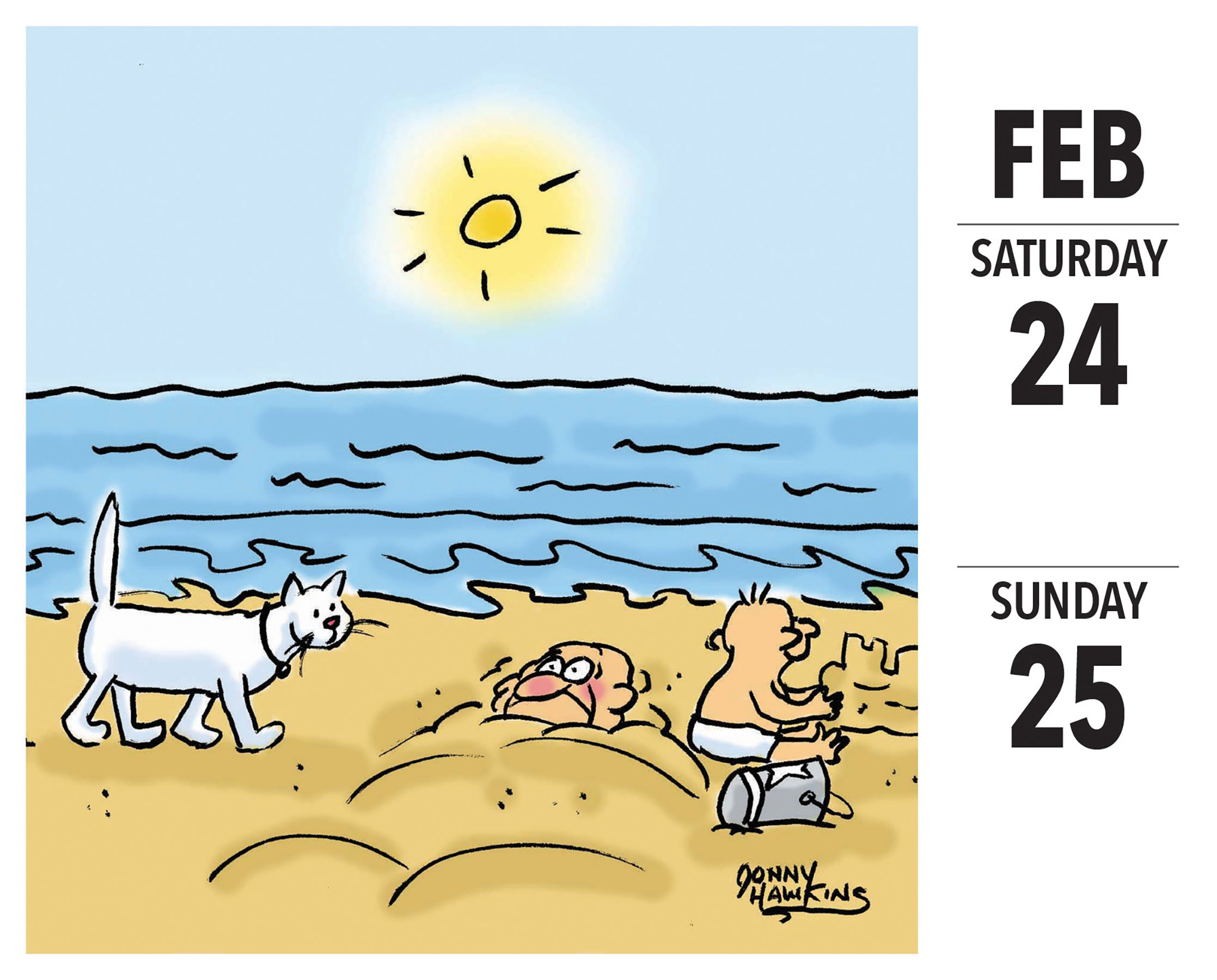 2024 Cat Cartoon-A-Day by Jonny Hawkins - Daily Boxed Page-A-Day Calendar US