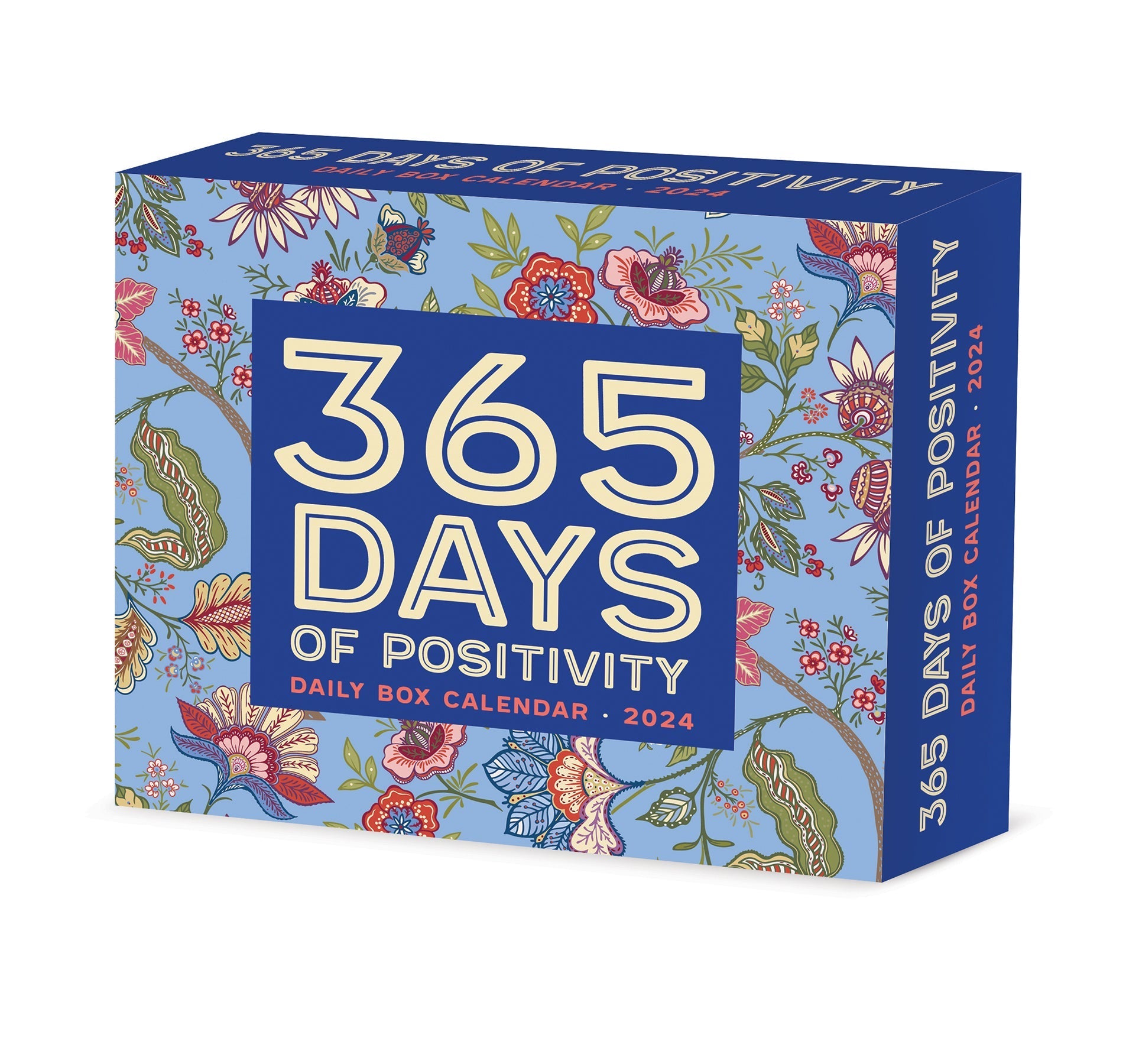2024 365 Days of Positivity - Daily Boxed Page-A-Day Calendar US