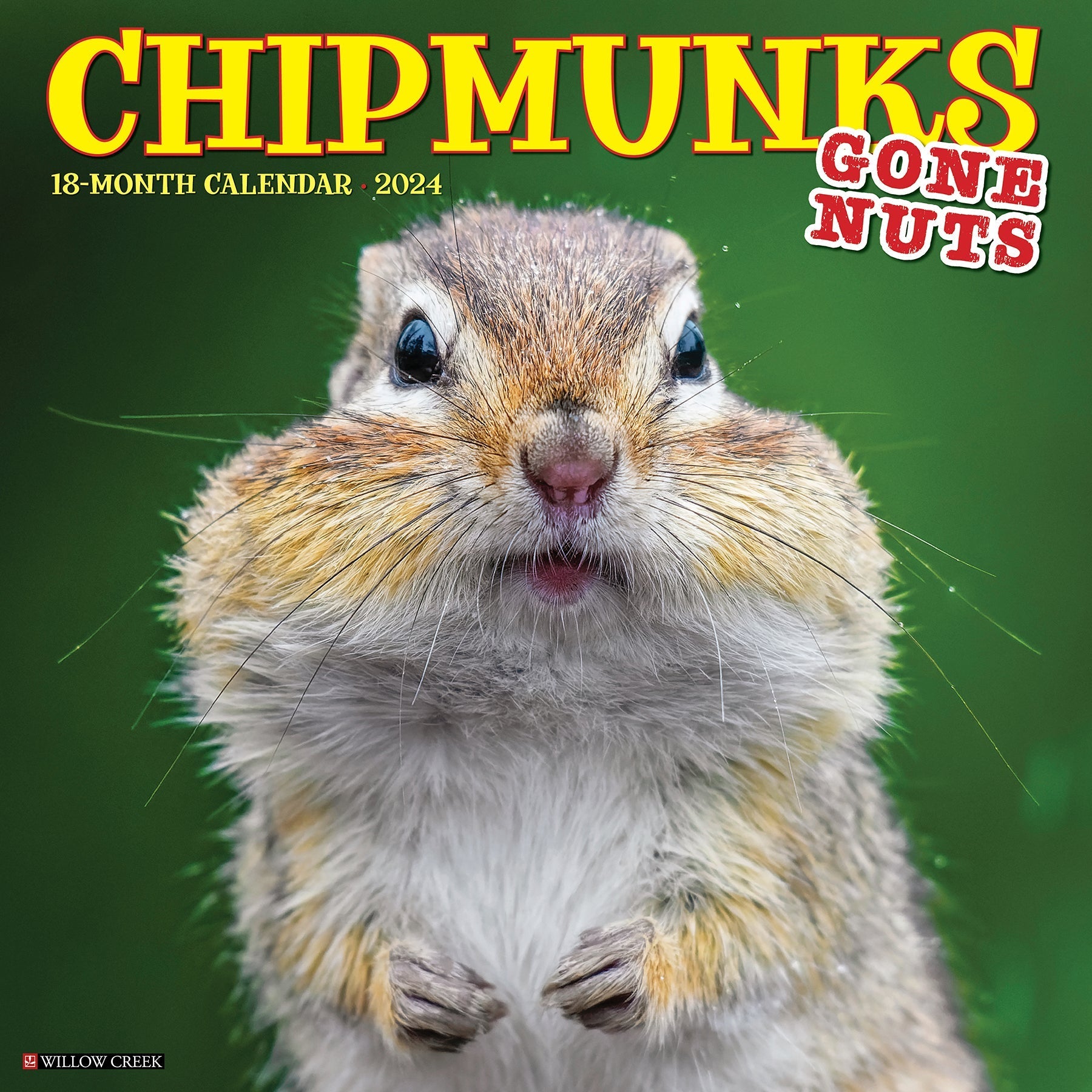 2024 Chipmunks (Gone Nuts!) - Square Wall Calendar US