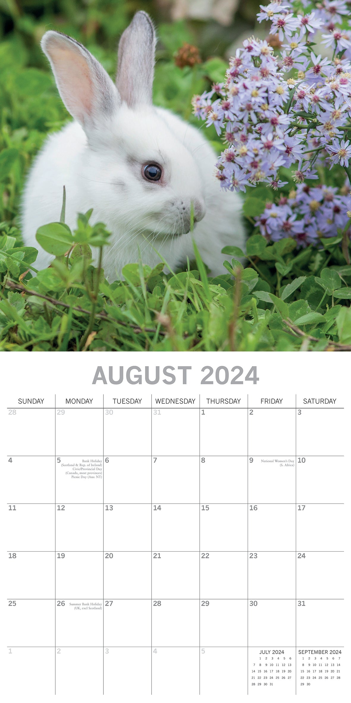 2024 Cute Bunnies - Square Wall Calendar