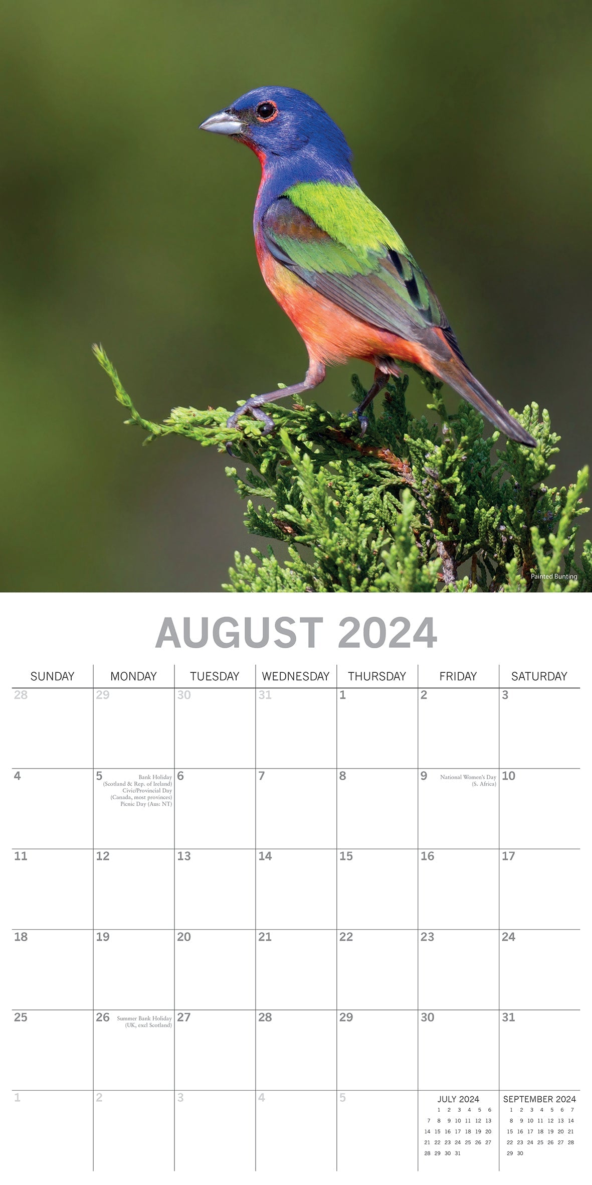 2024 Exotic Birds - Square Wall Calendar