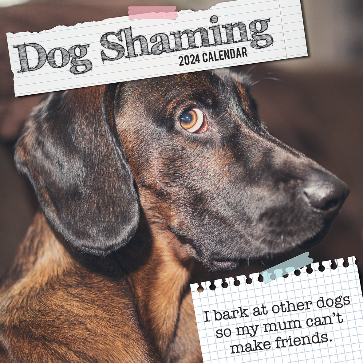 2024 Dog Shaming - Square Wall Calendar