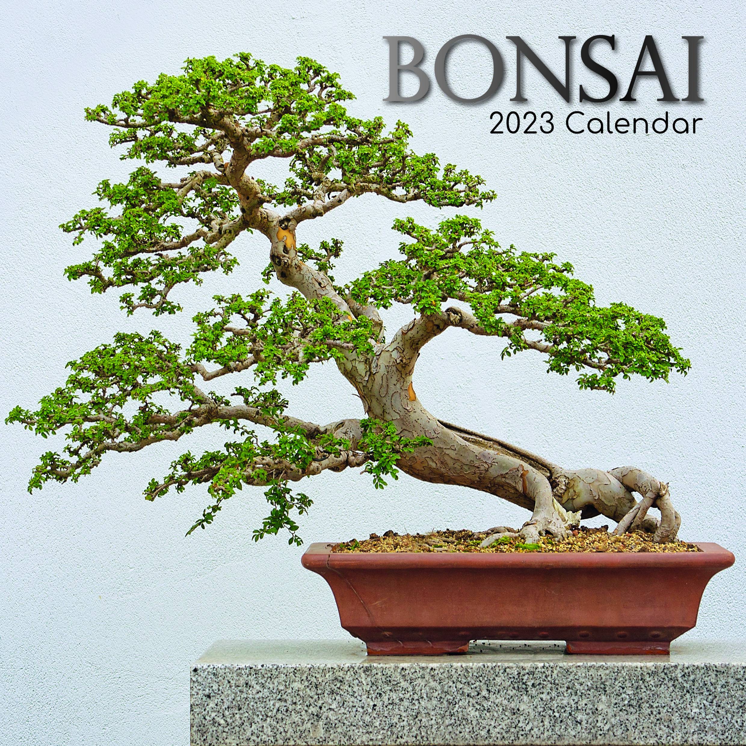 2023 Bonsai - Square Wall Calendar