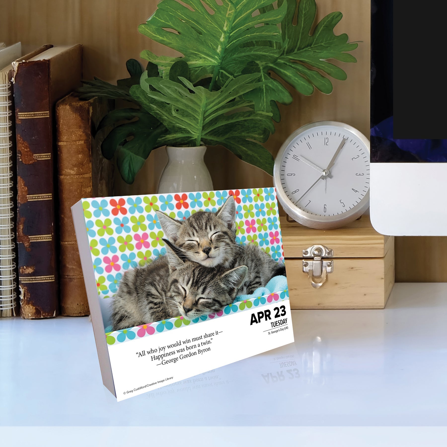 2024 What Cats Teach Us - Daily Boxed Page-A-Day Calendar US