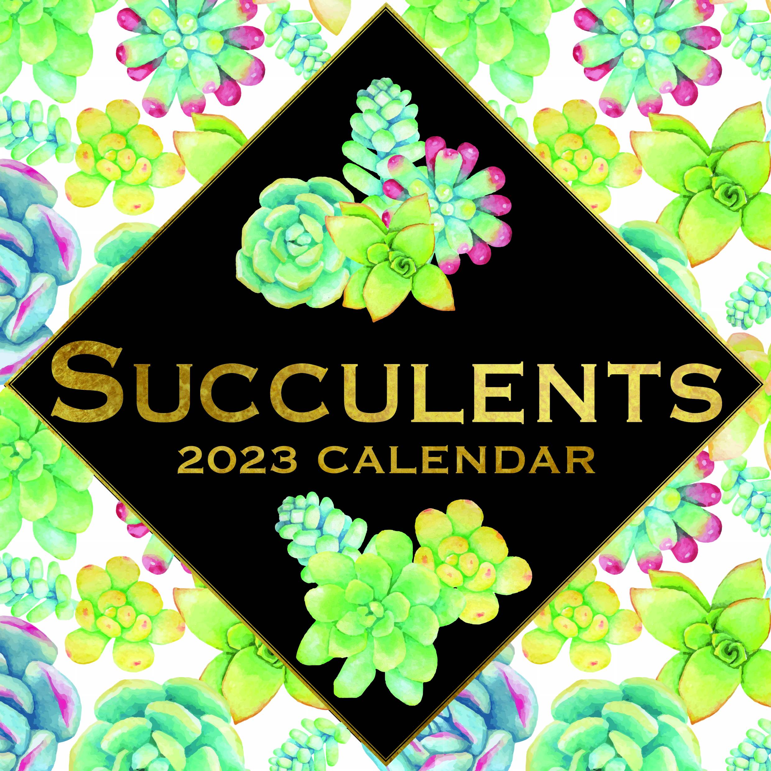 2023 Succulents - Square Wall Calendar