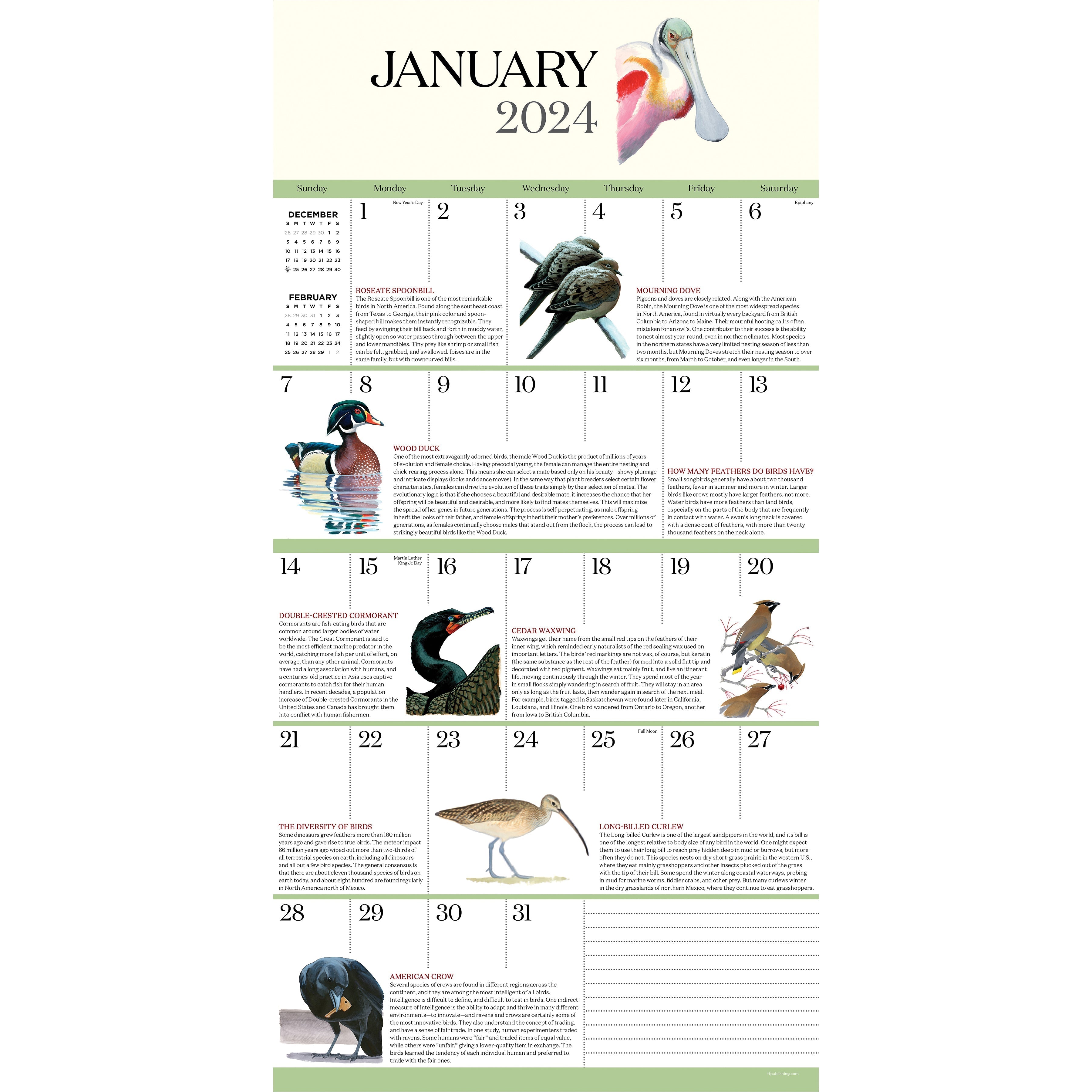 2024 What It's Like To Be A Bird - Square Wall Calendar US