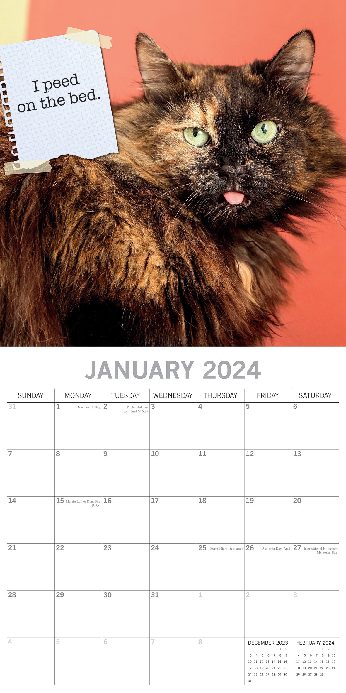 2024 Cat Shaming - Square Wall Calendar