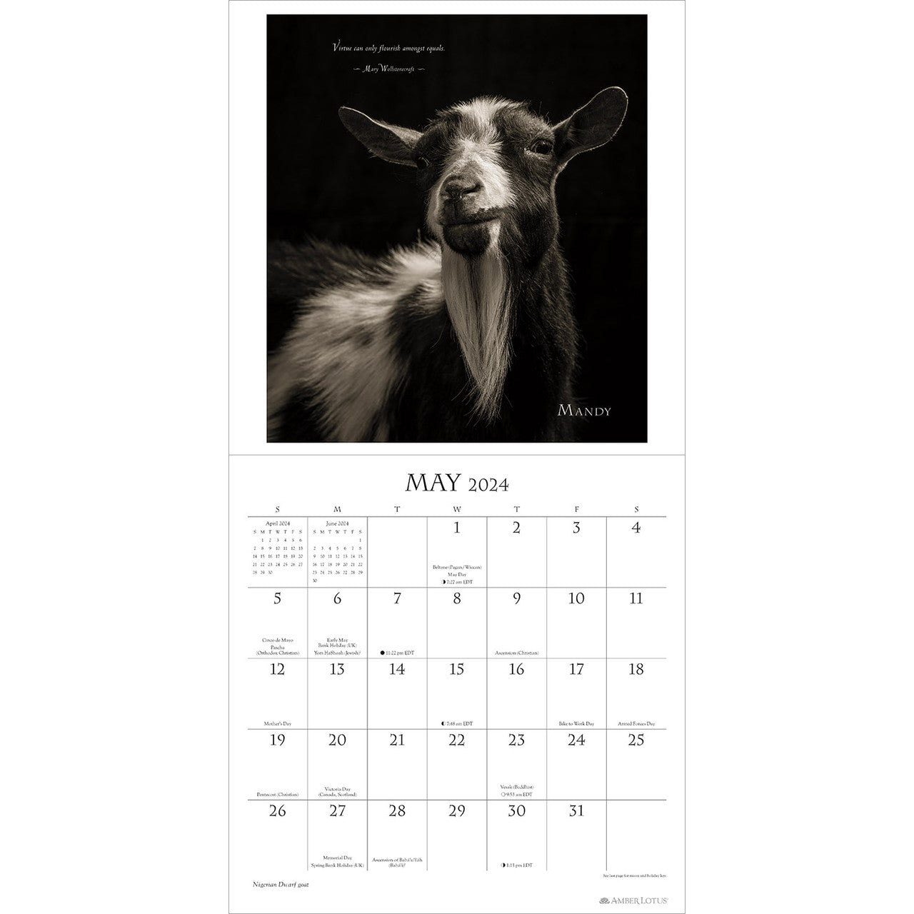 2024 I Am Goat - Square Wall Calendar