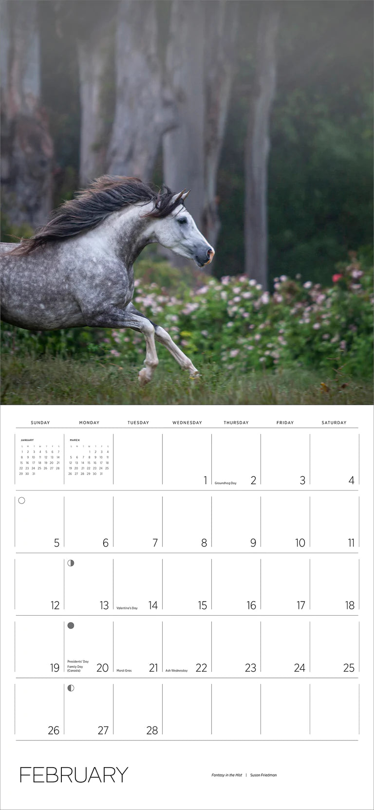 2023 Equus: Photographs by Susan Friedman - Square Wall Calendar