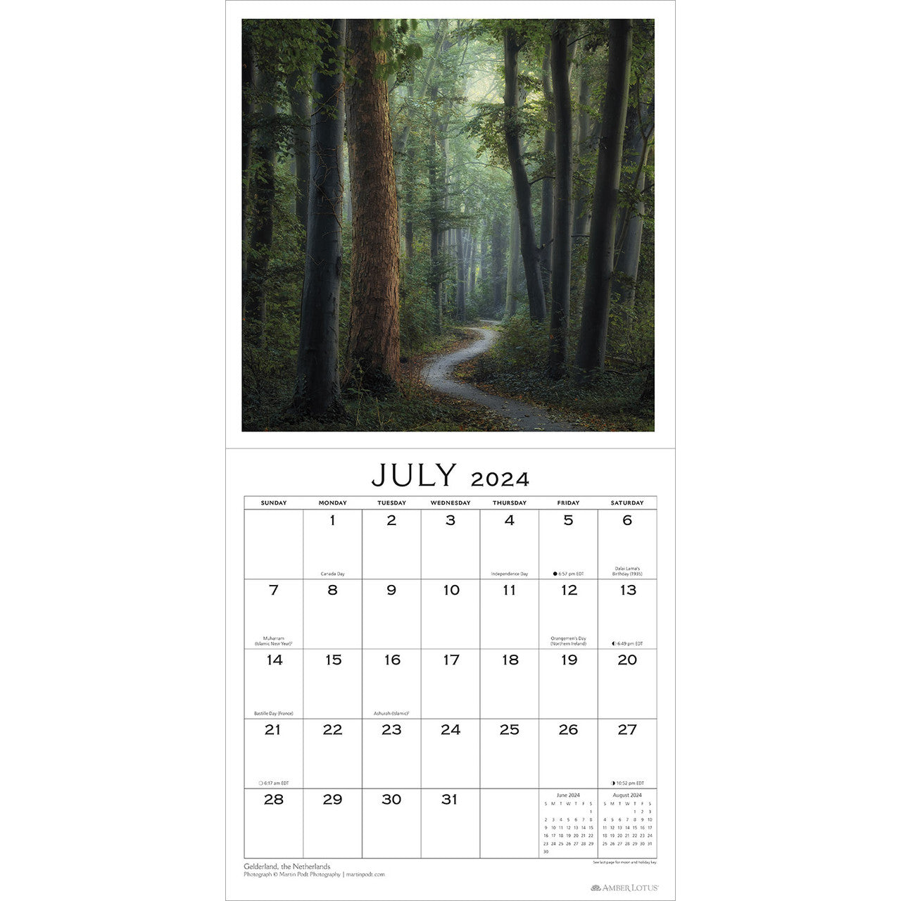 2024 The Soul of the Forest - Square Wall Calendar