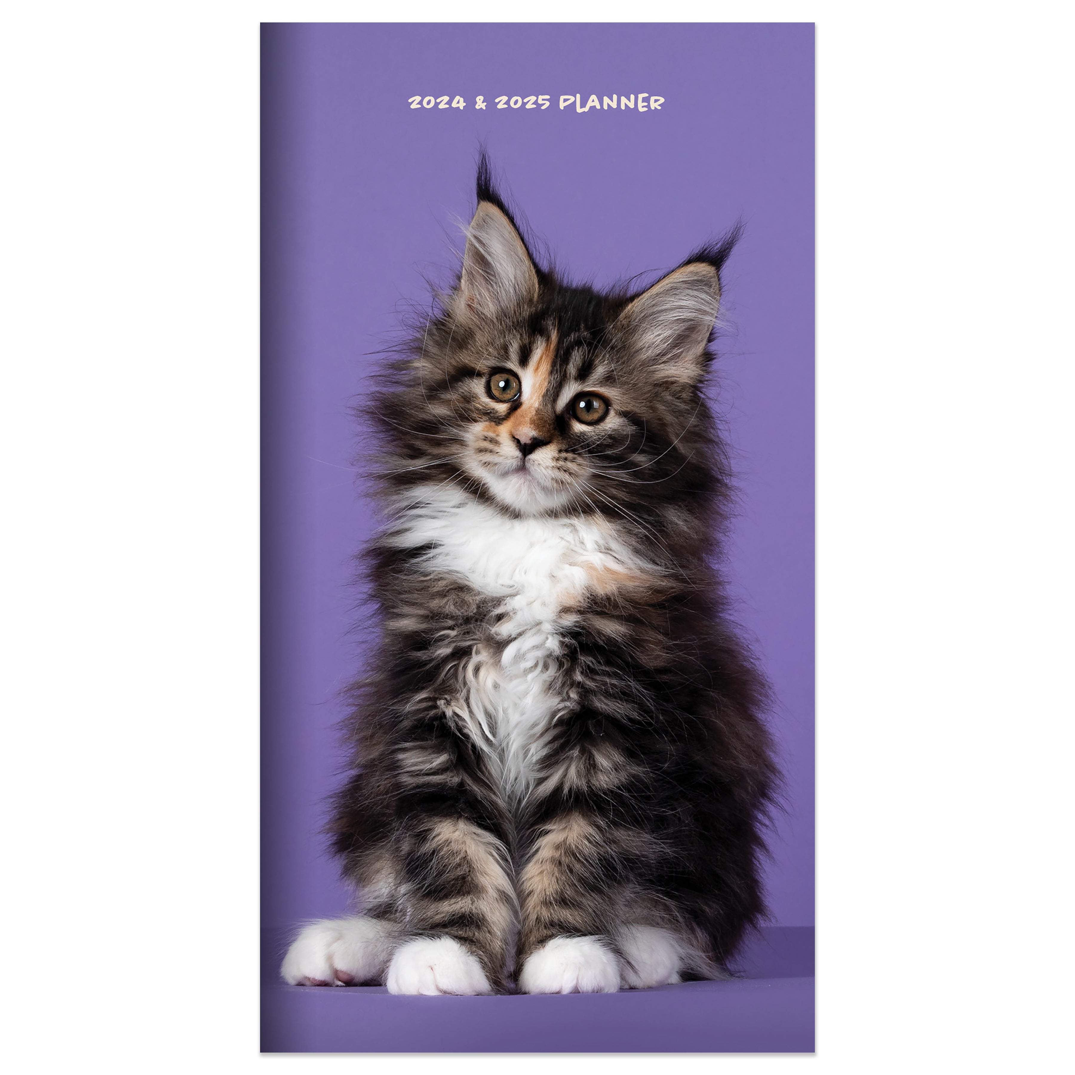 2024-2025 Kitten - Small Monthly Pocket Diary/Planner US