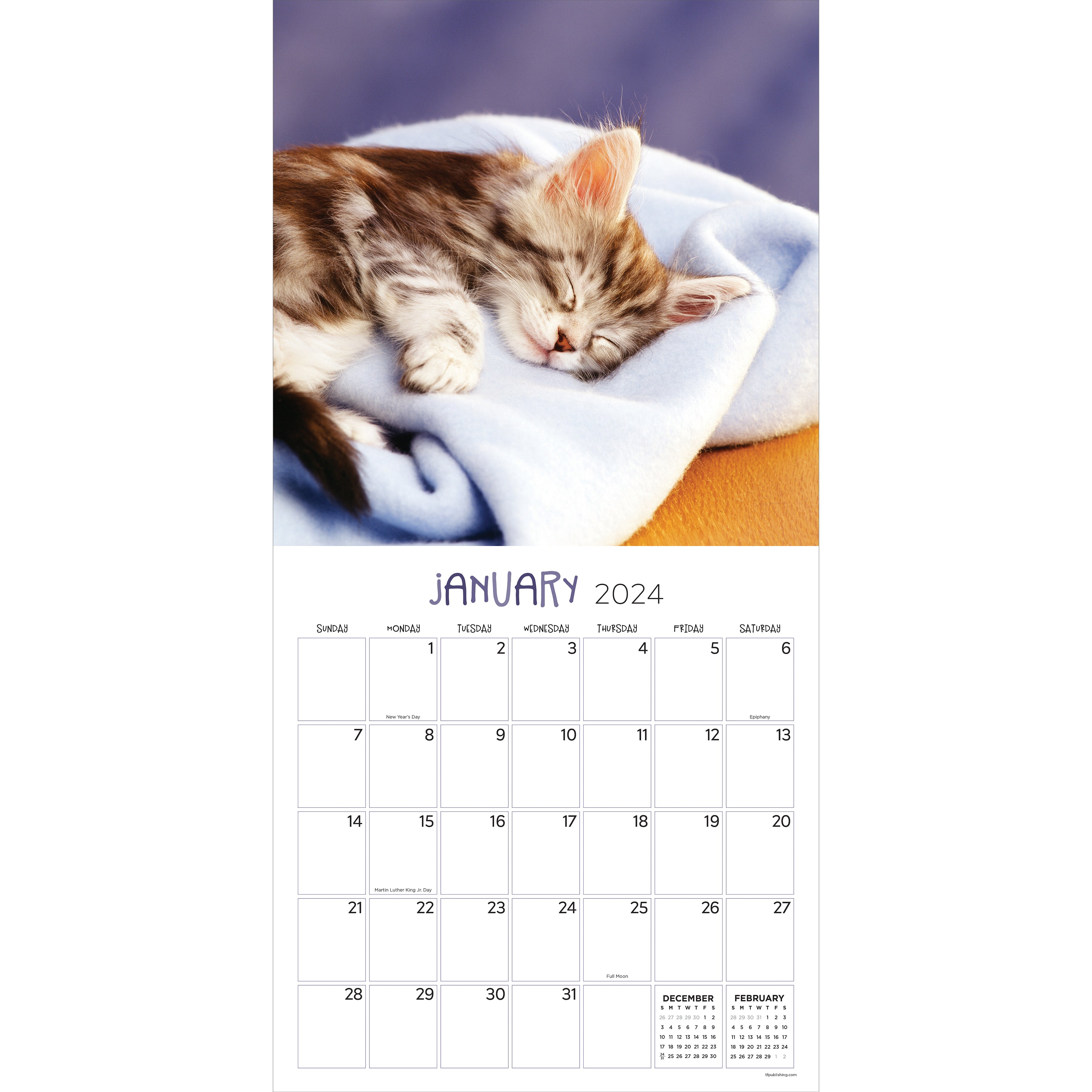 2024 Cat Dreams - Square Wall Calendar US