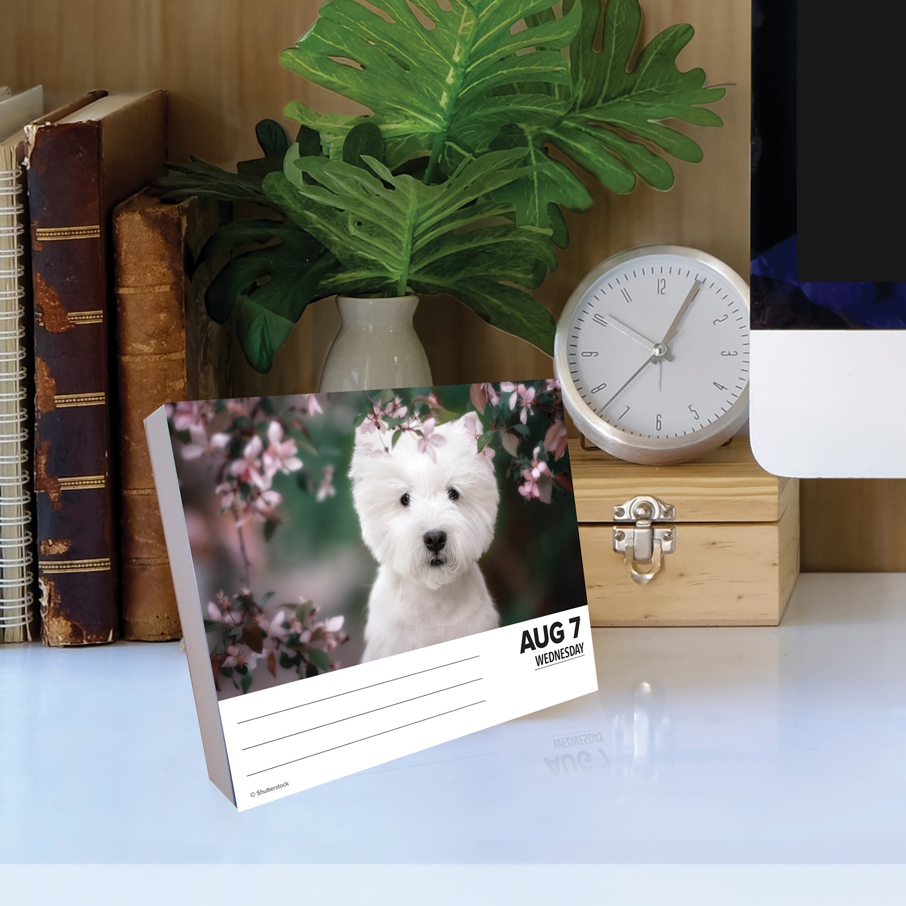 2024 Westies - Daily Boxed Page-A-Day Calendar US