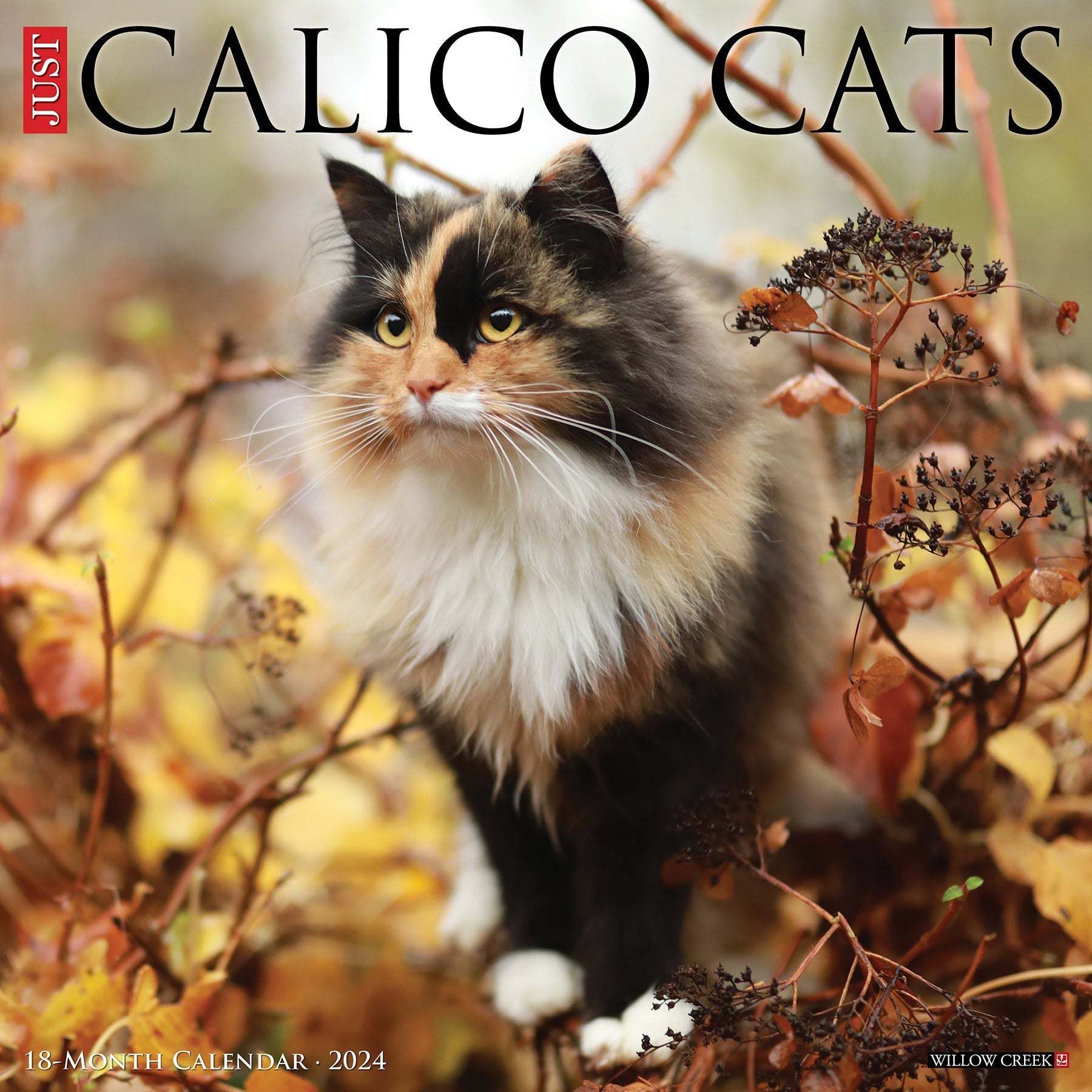 2024 Just Calico Cats - Square Wall Calendar US