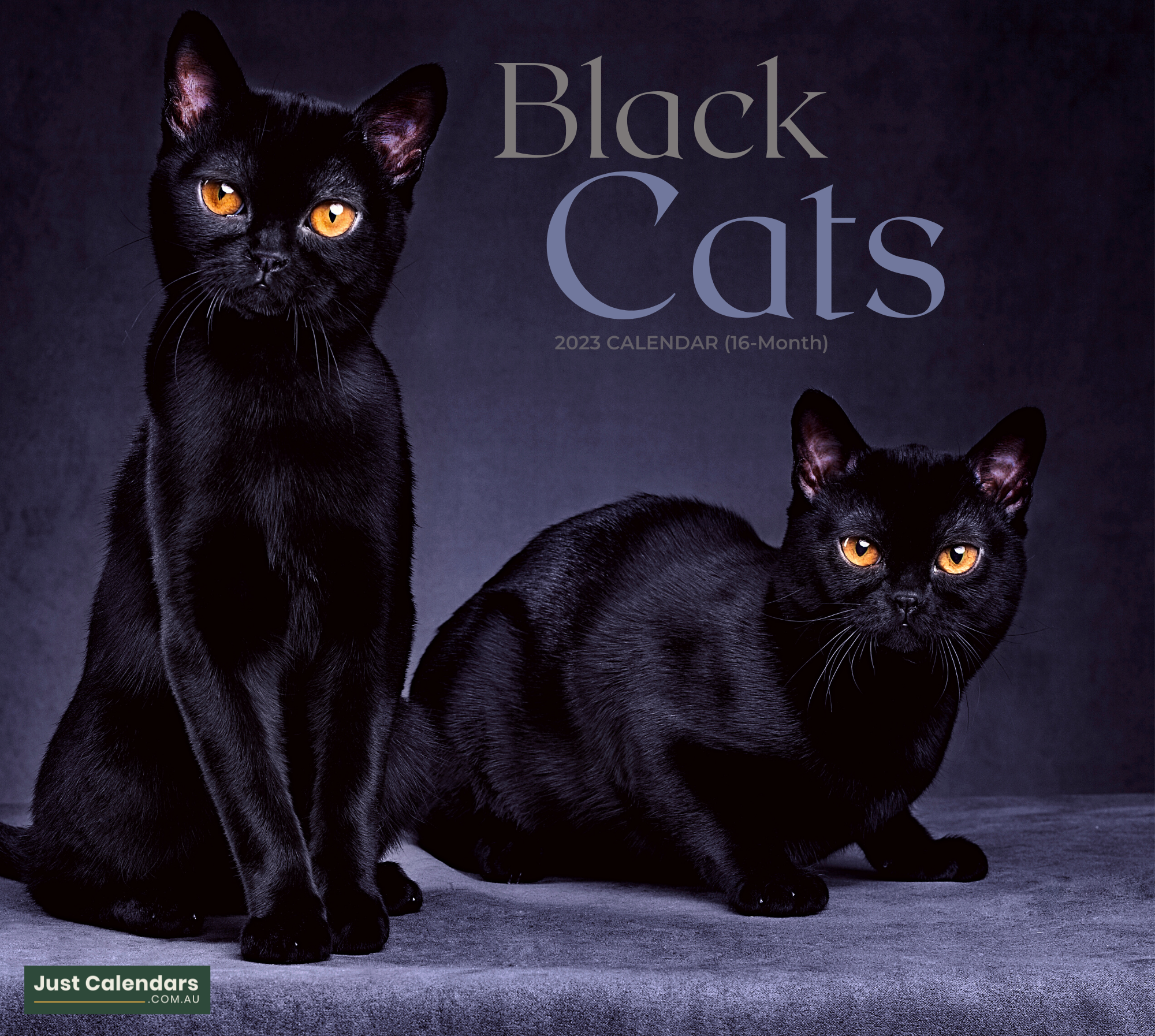 2023 Black Cats - Deluxe Wall Calendar By Just Calendars