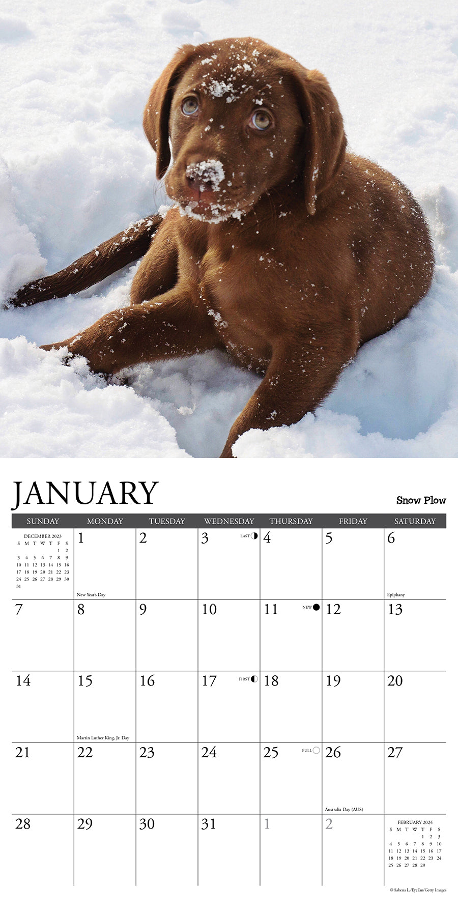 2024 12 Uses for a Lab - Square Wall Calendar US