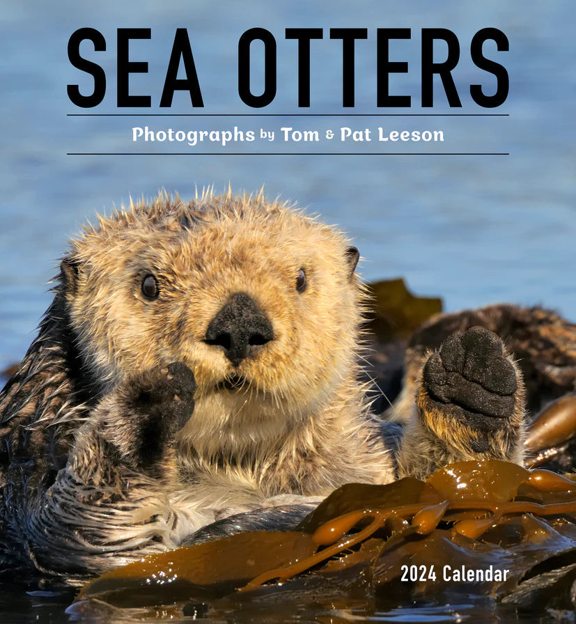 2024 Sea Otters: Photographs by Tom and Pat Leeson - Square Wall Calendar