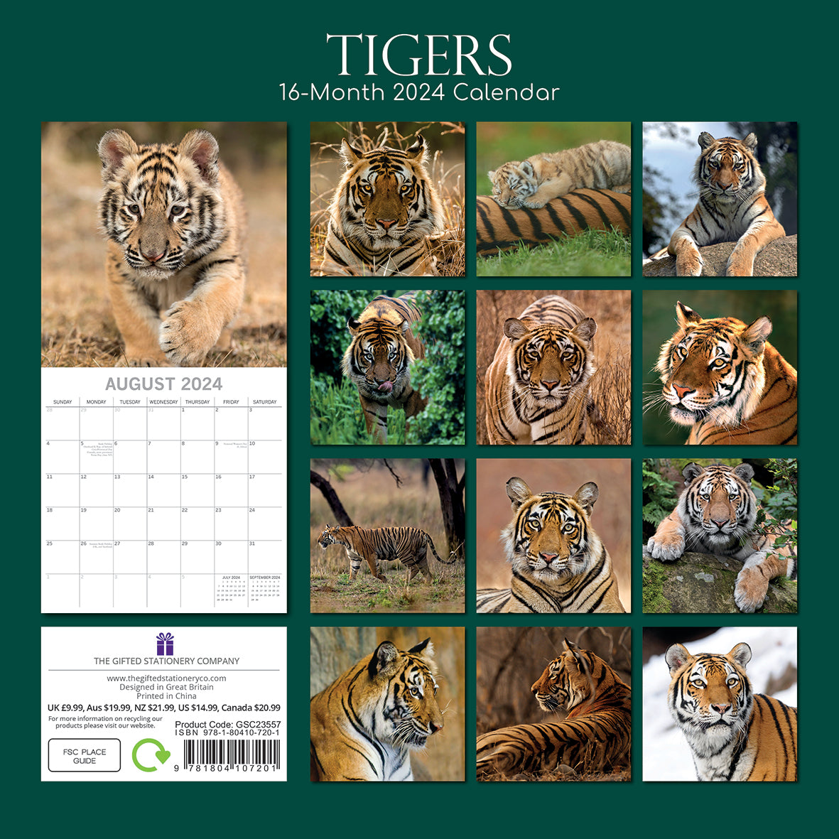 2024 Tigers - Square Wall Calendar