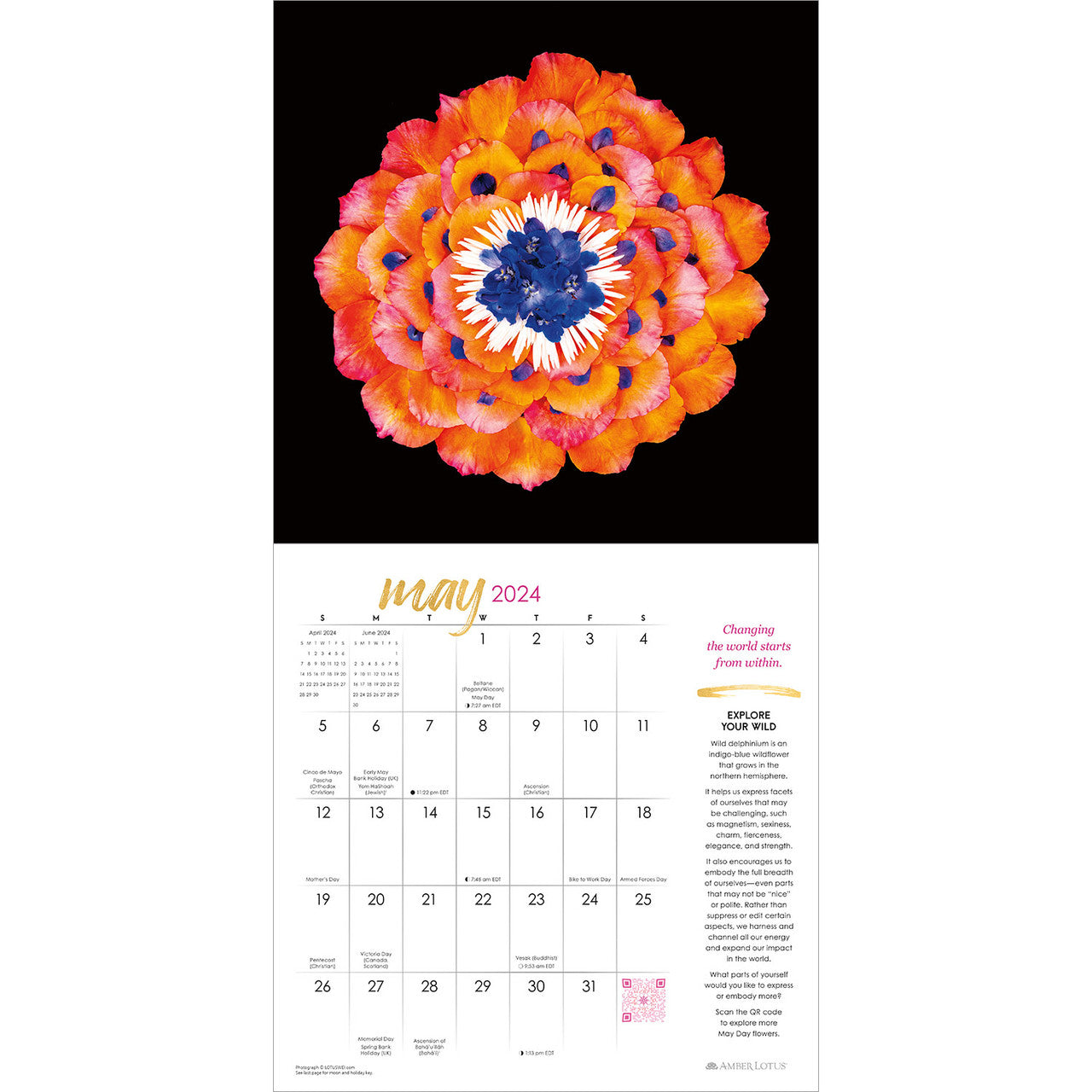 2024 Flower Evolution - Square Wall Calendar