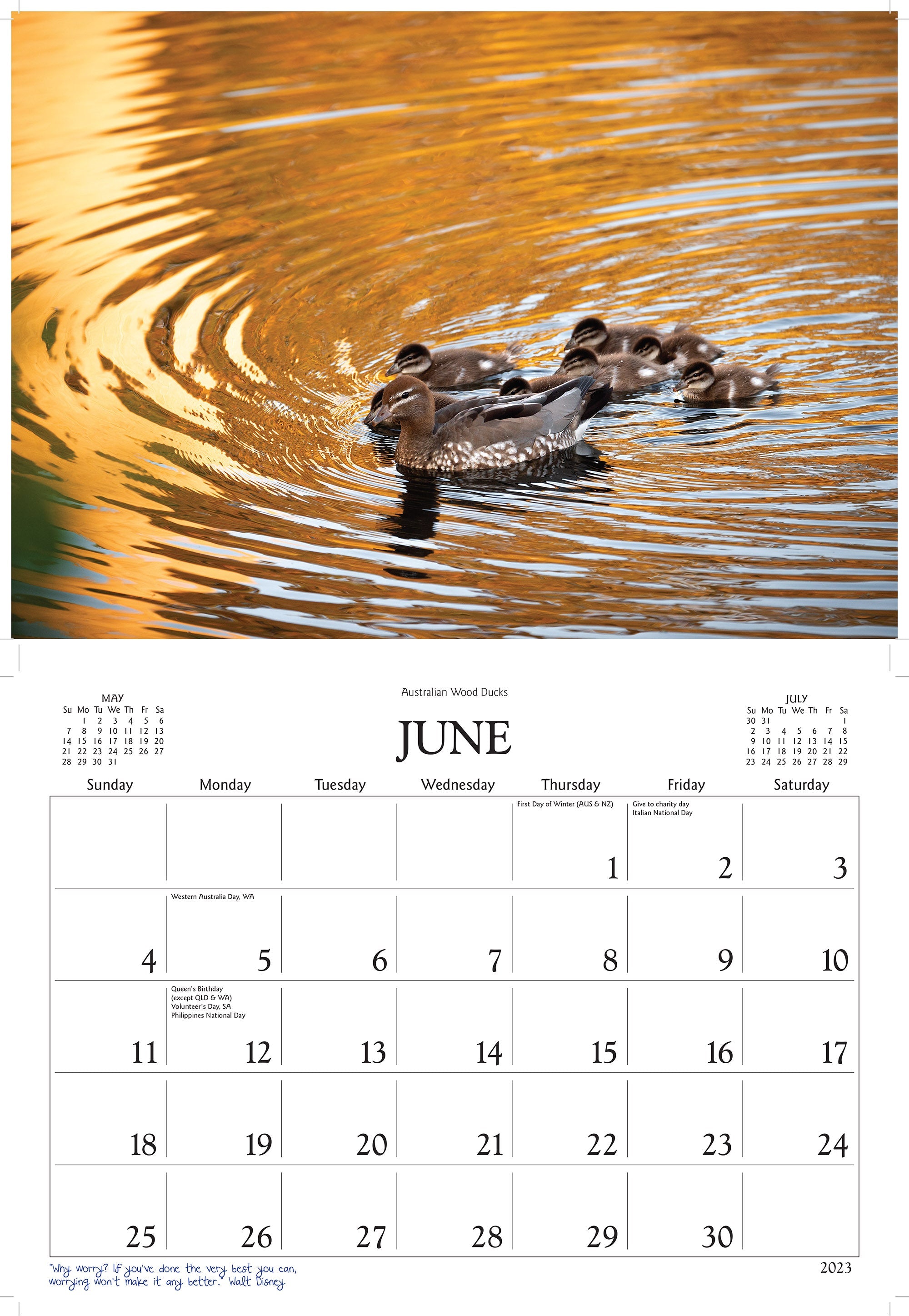 2023 Birds of Australia by David Messent - Horizontal Wall Calendar