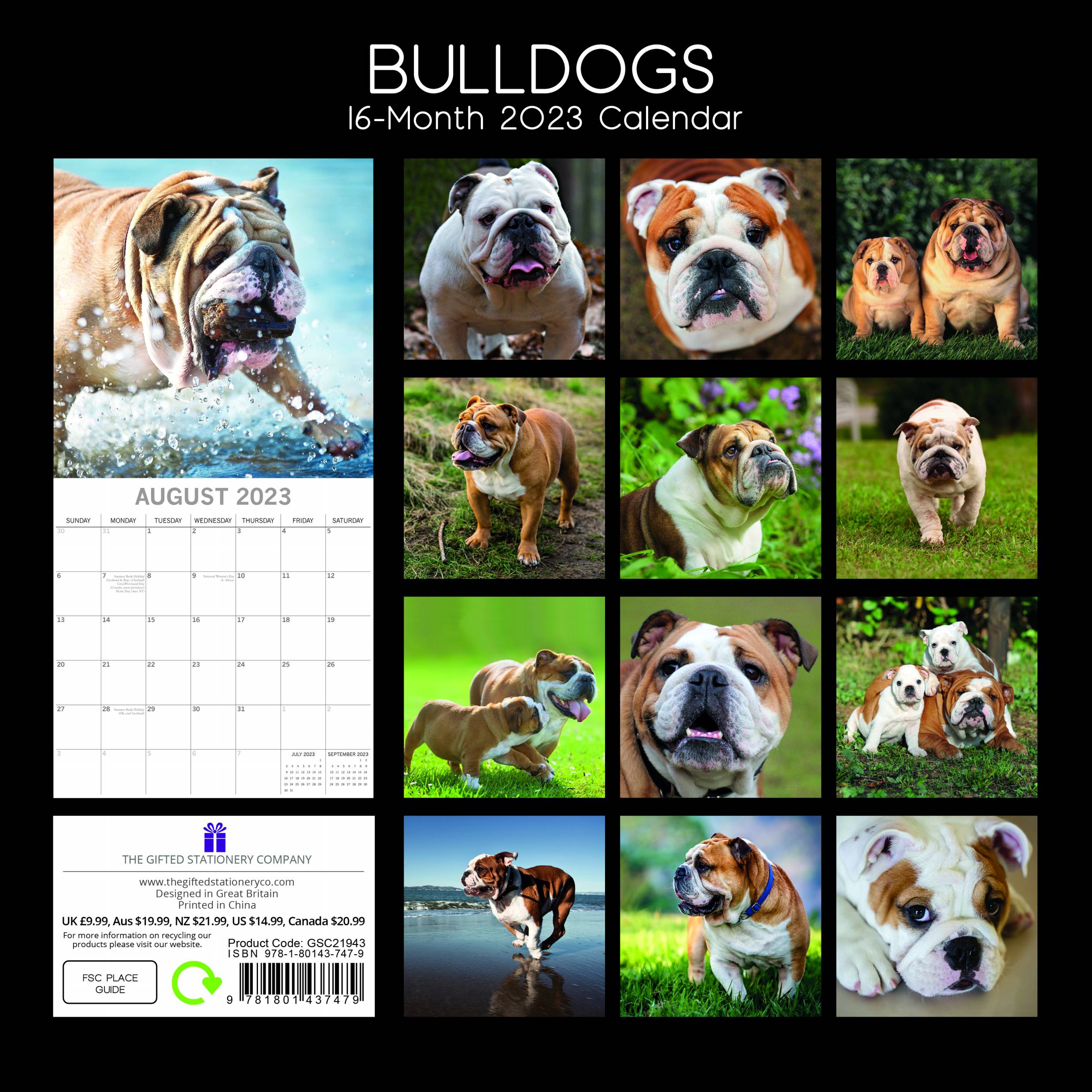 2023 Bulldogs - Square Wall Calendar