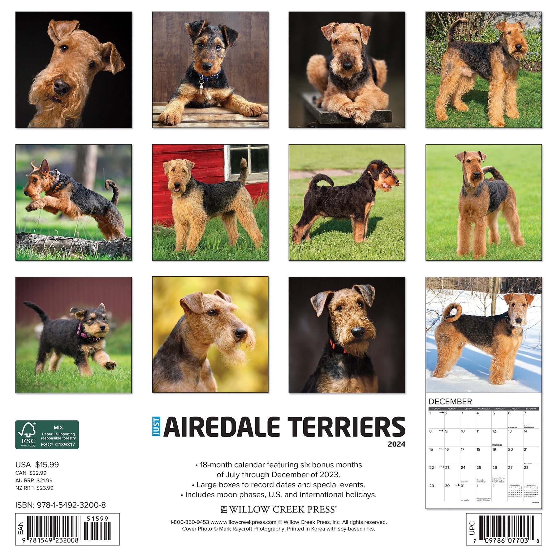 2024 Just Airedale Terriers - Square Wall Calendar US