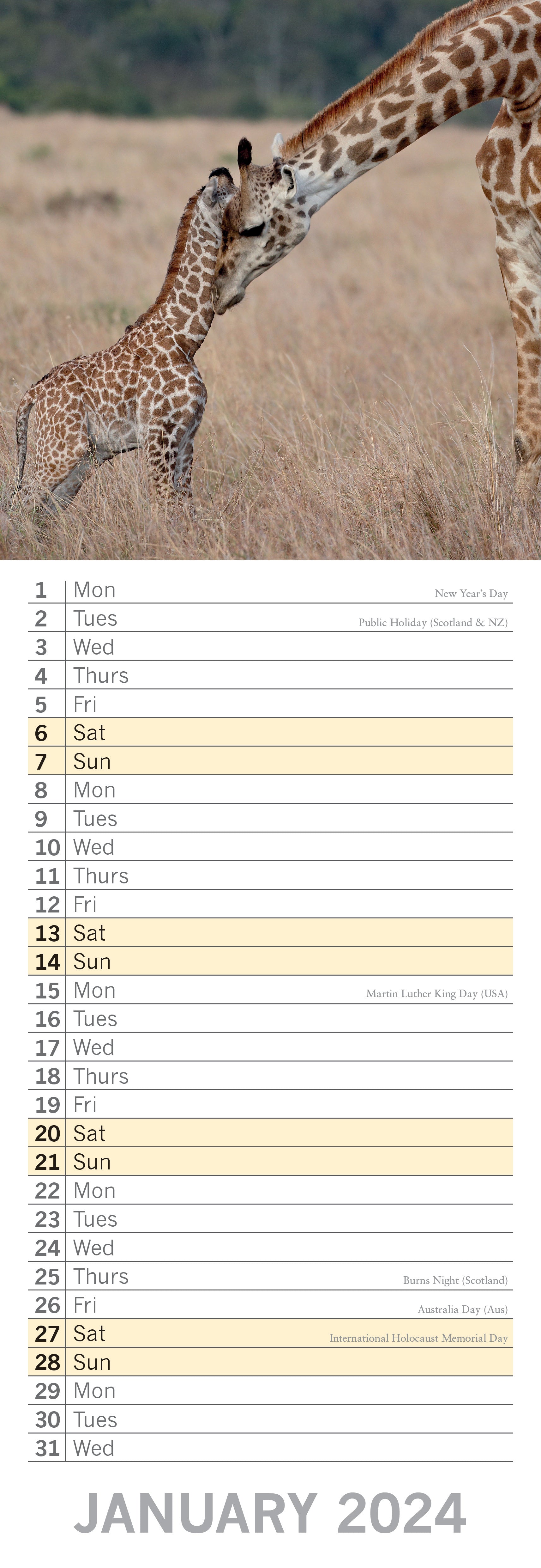 2024 Baby Animals - Slim Wall Calendar