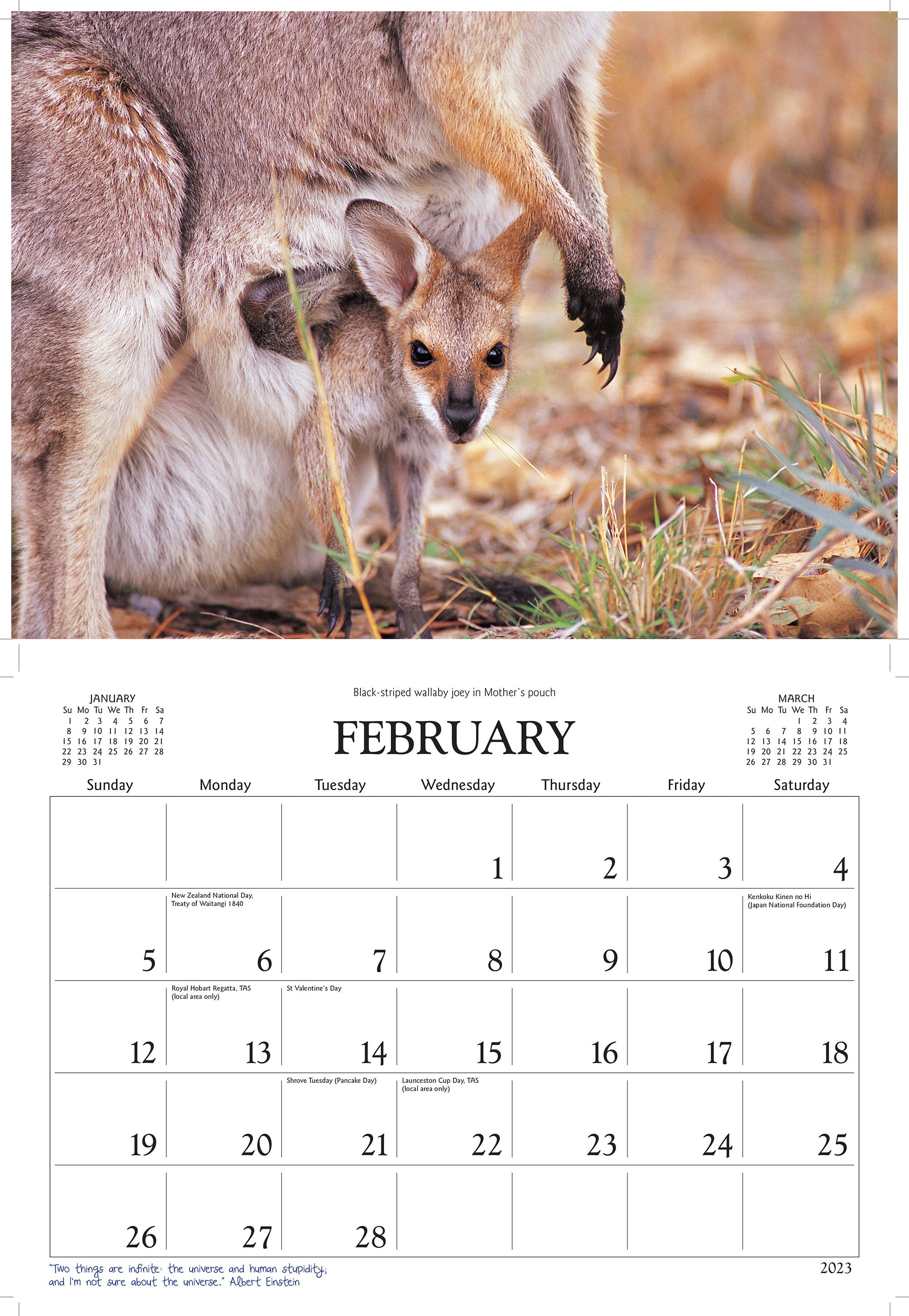 2023 Australian Wildlife by David Messent - Horizontal Wall Calendar