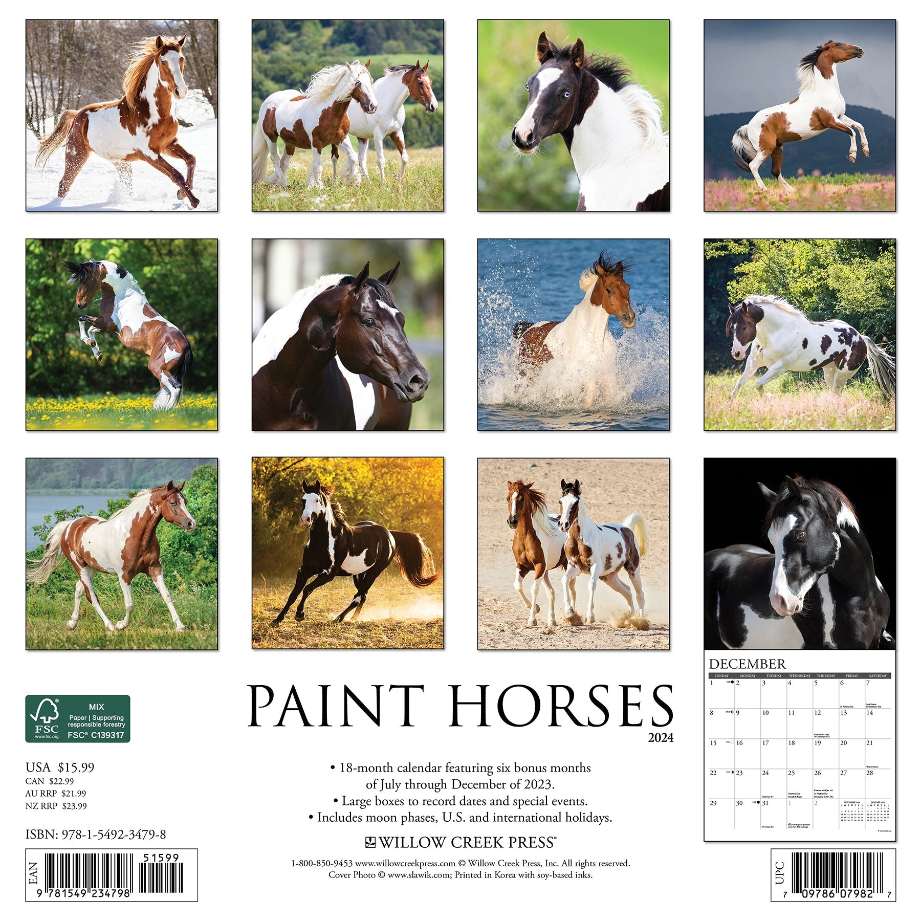 2024 Paint Horses - Square Wall Calendar US