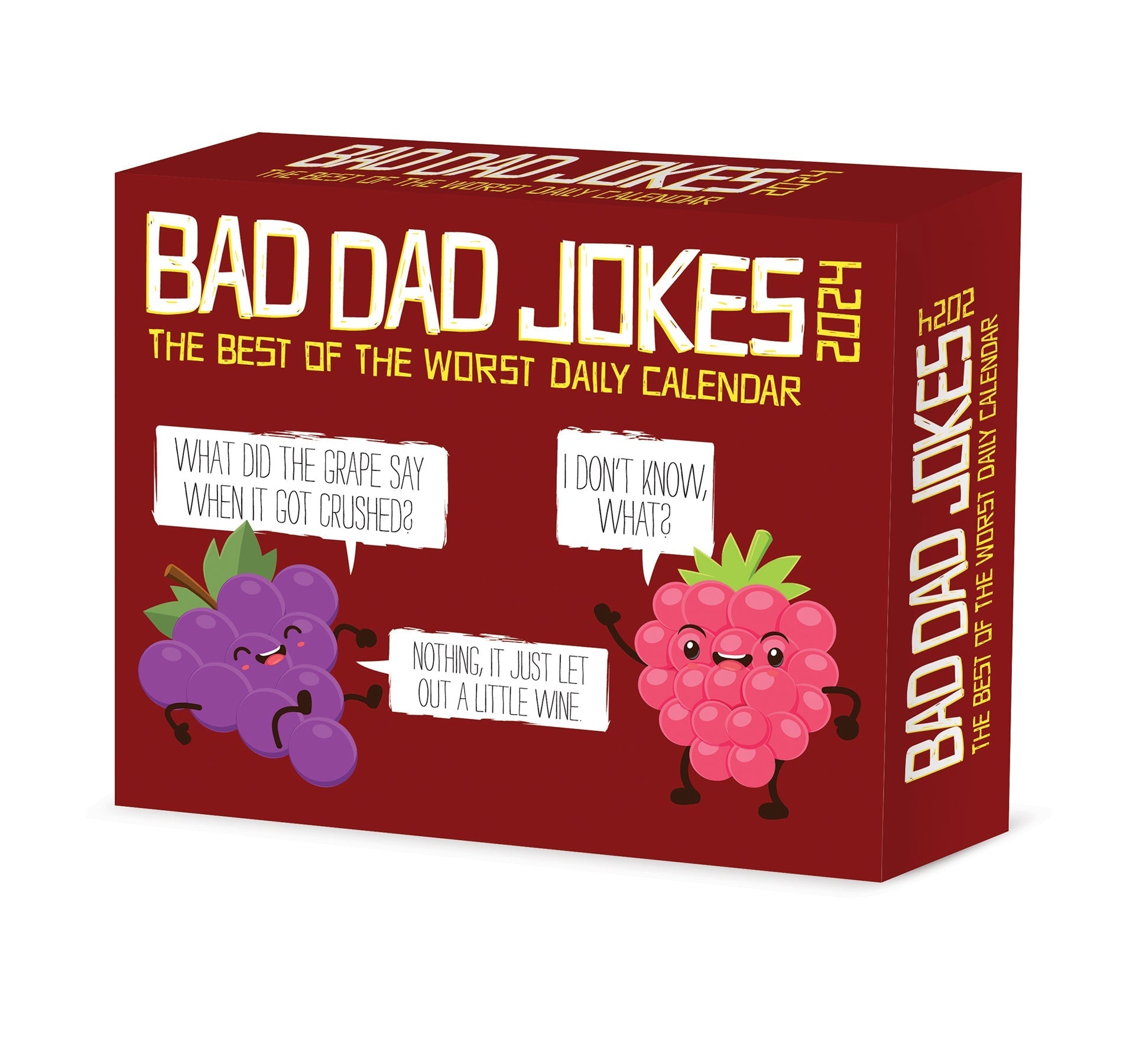 2024 Bad Dad Jokes - Daily Boxed Page-A-Day Calendar US