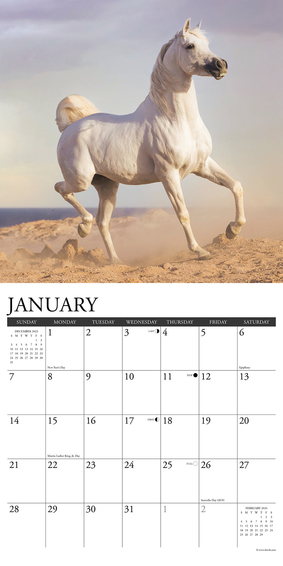 2024 Arabians Horses - Square Wall Calendar US