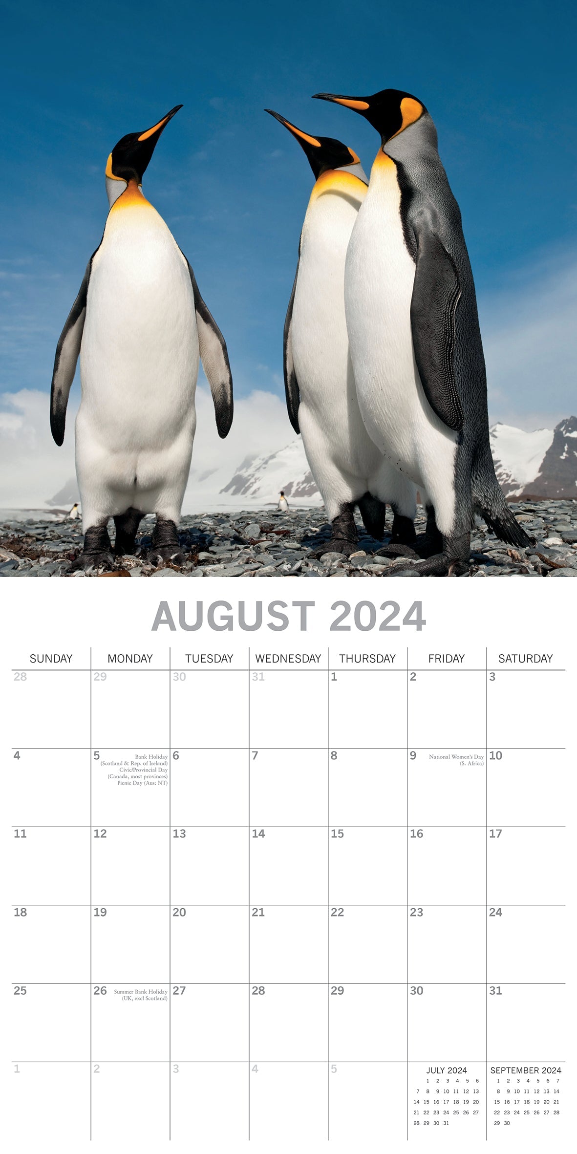 Penguin Calendar 